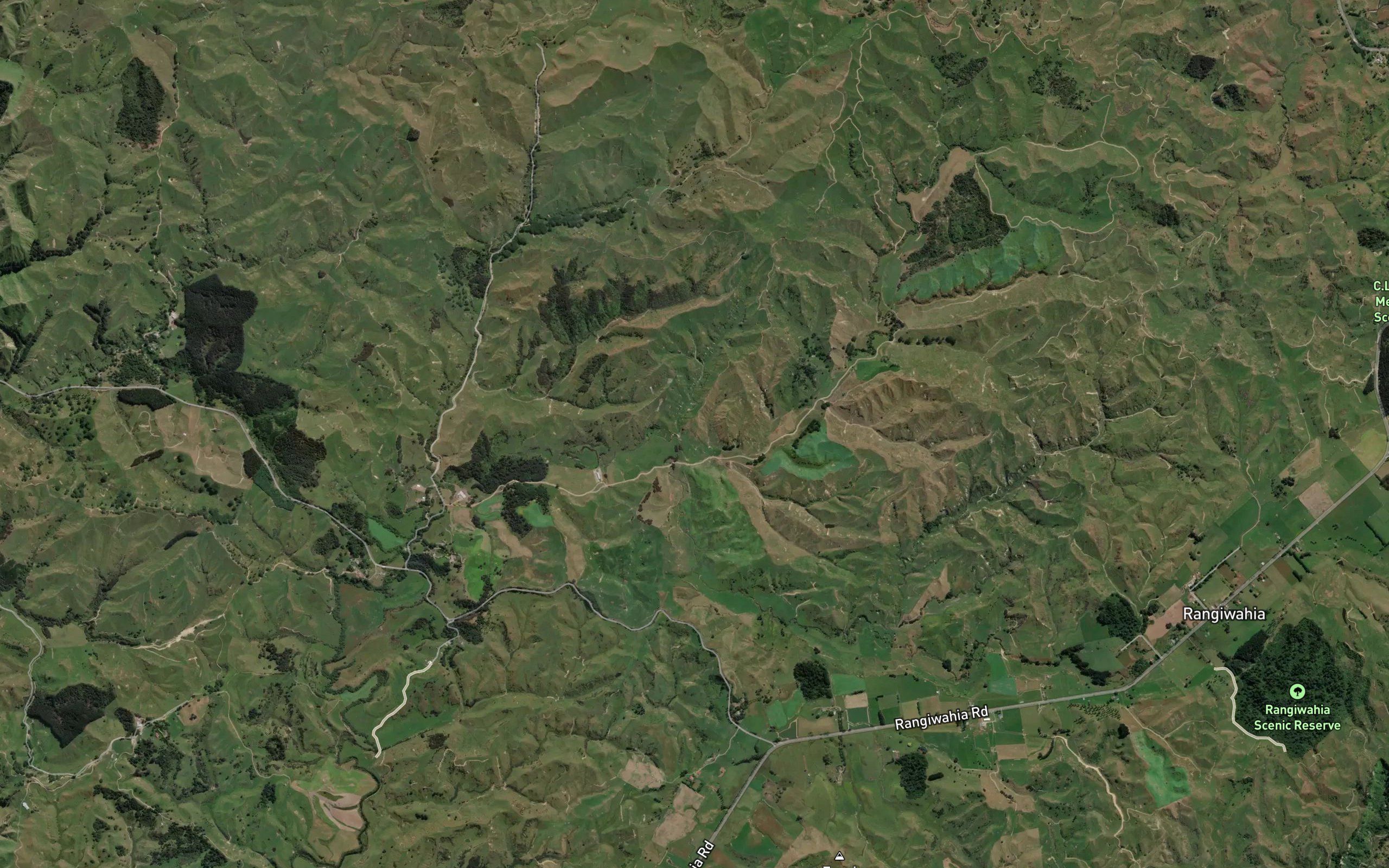 Kiwitea Stream