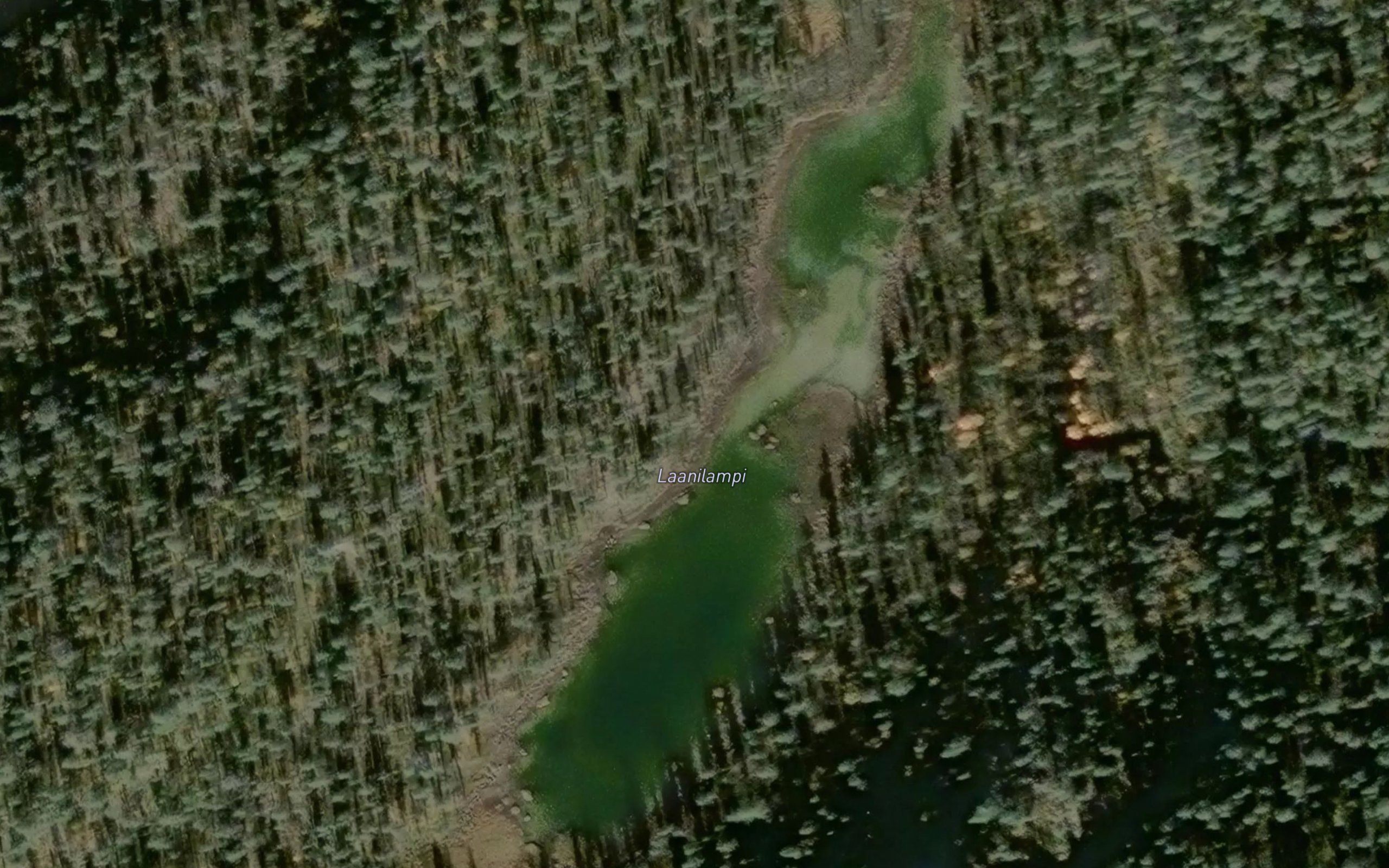 Laanilampi