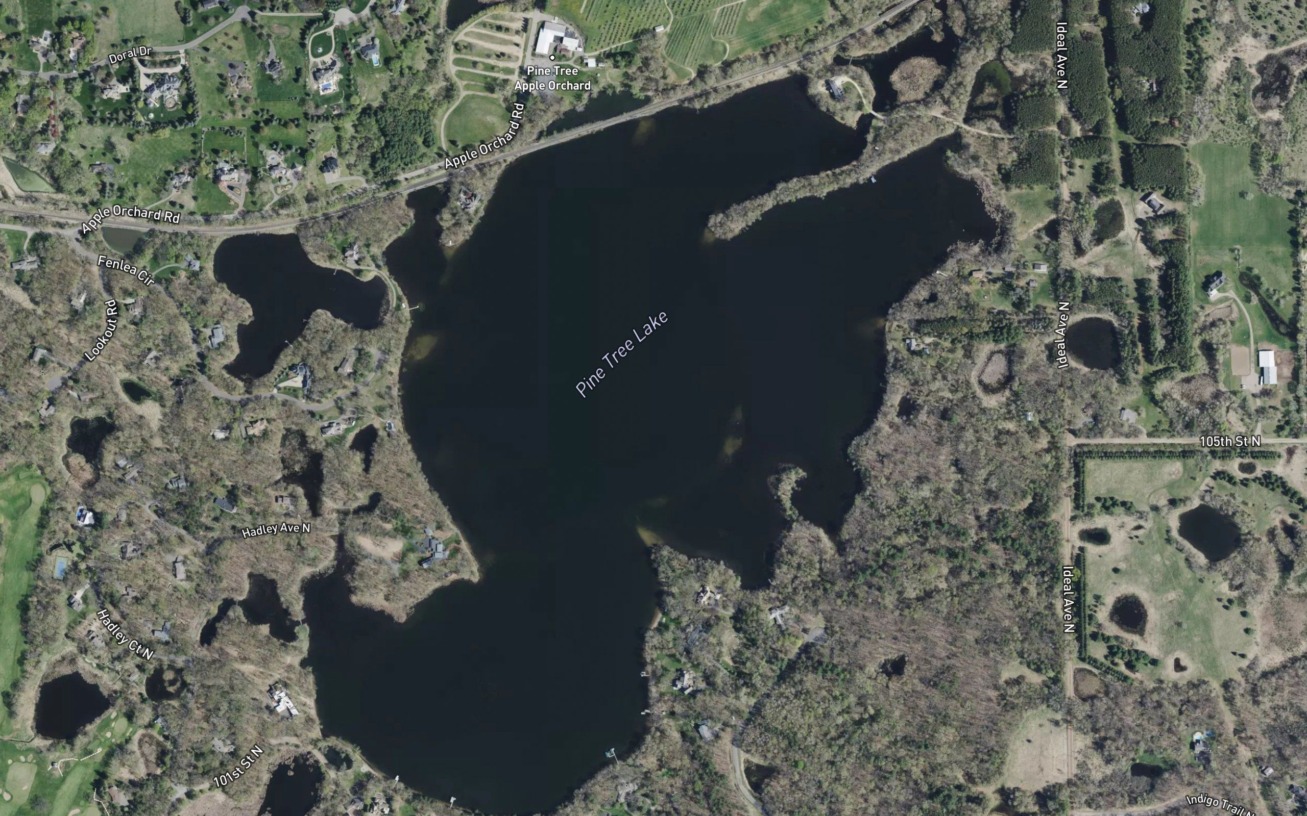 Pine Tree Lake