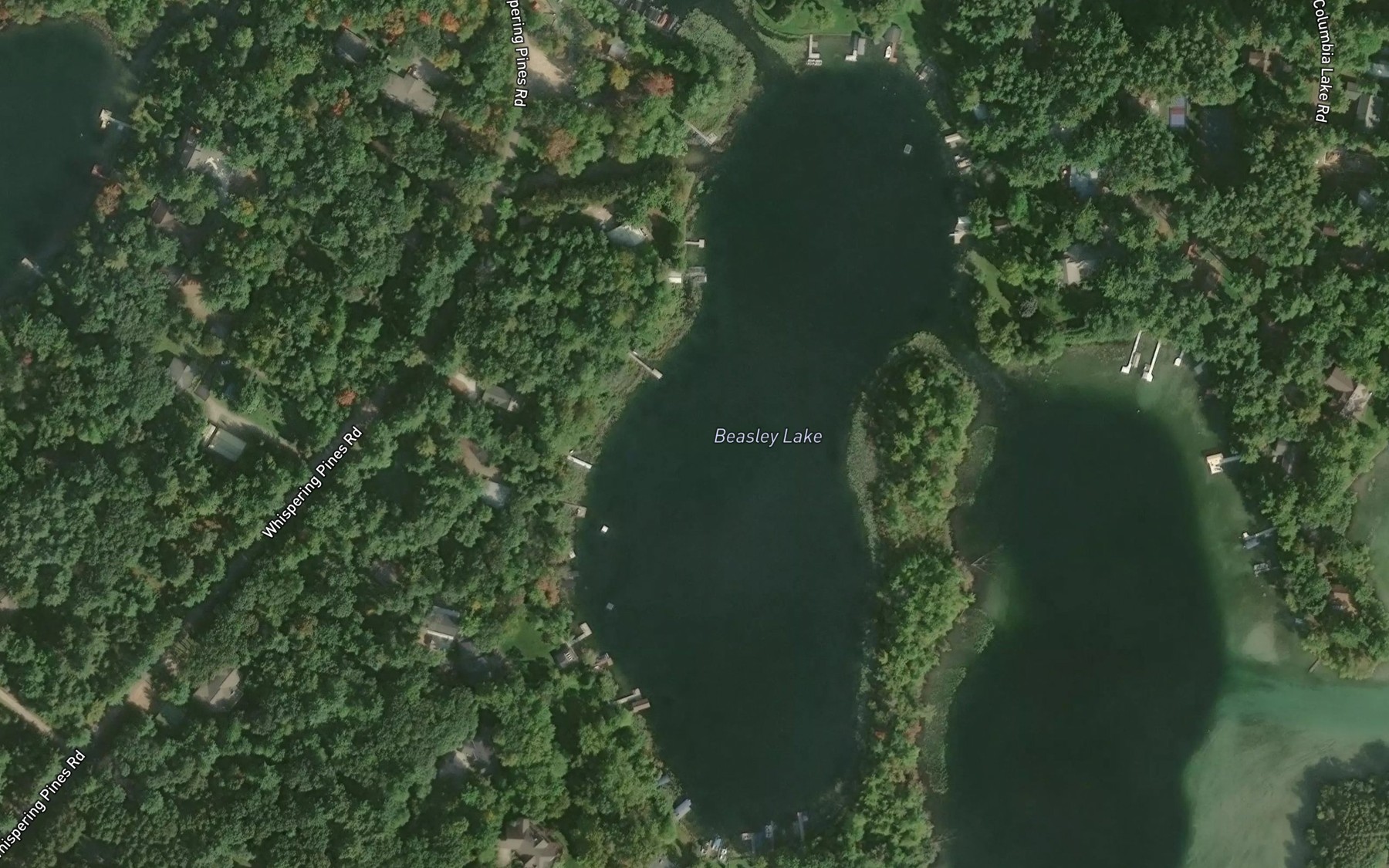 Satellite map of the Beasley Lake
