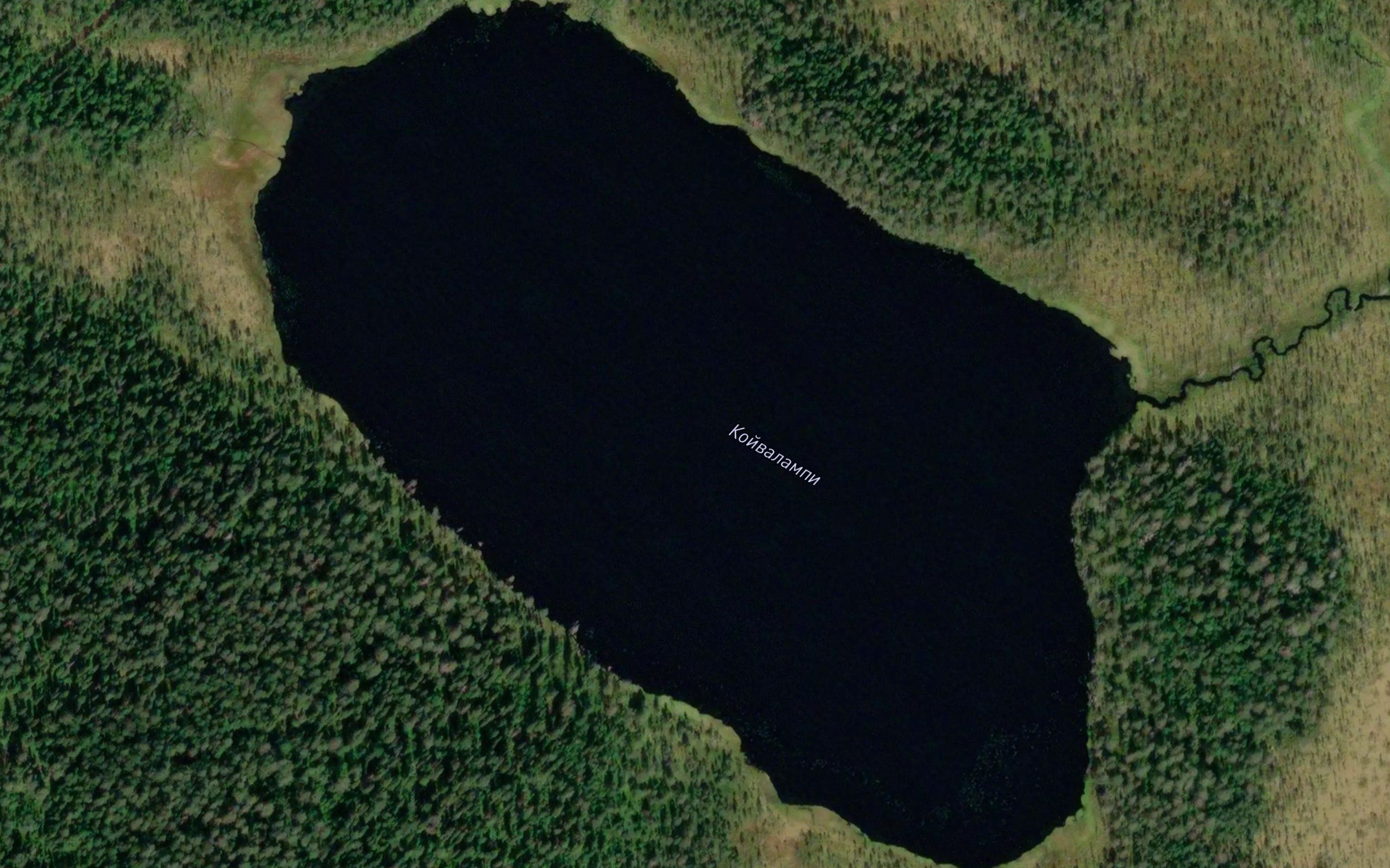 Ozero Koyvalampi