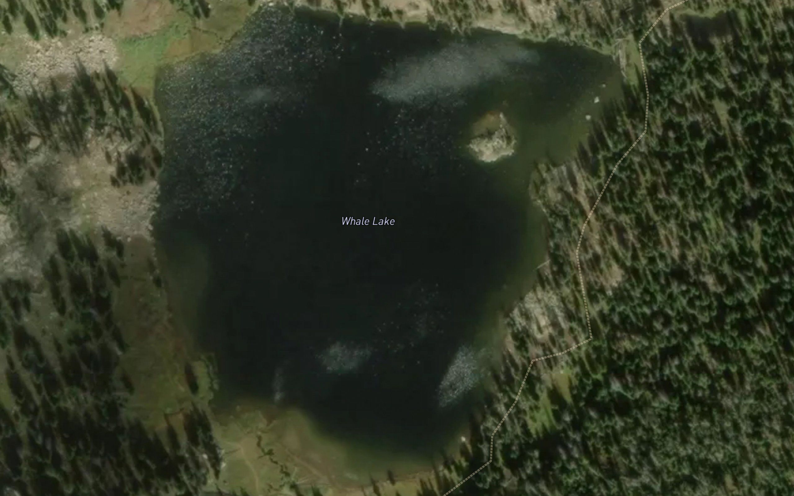 Whale Lake