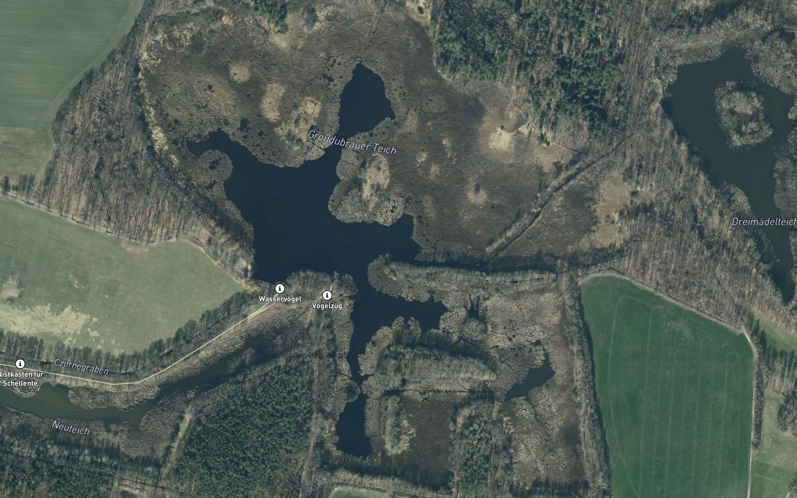 Grosser Dubrauer Teich