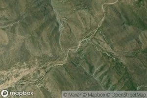 Canada Pajaros Azules