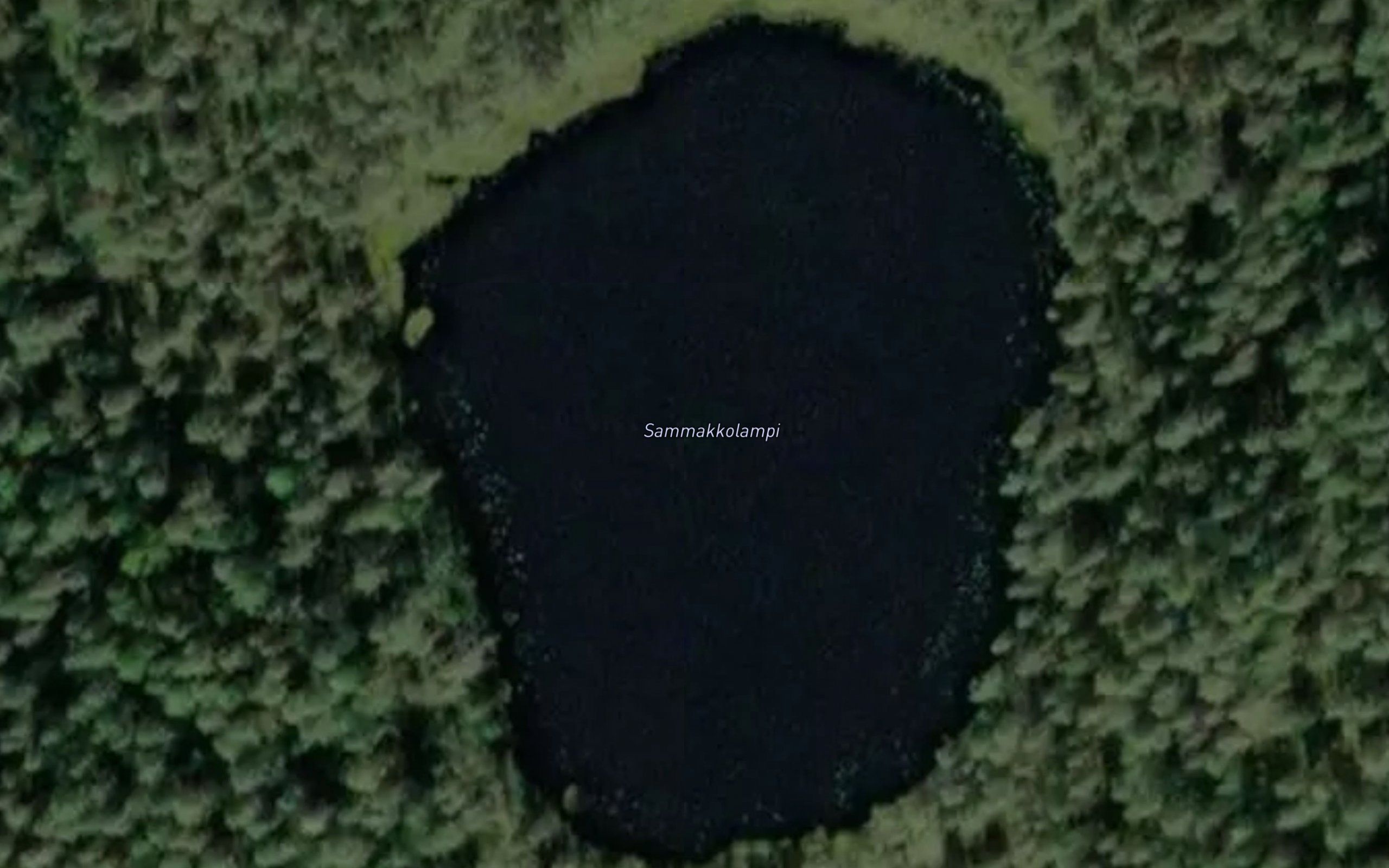 Sammakkolampi