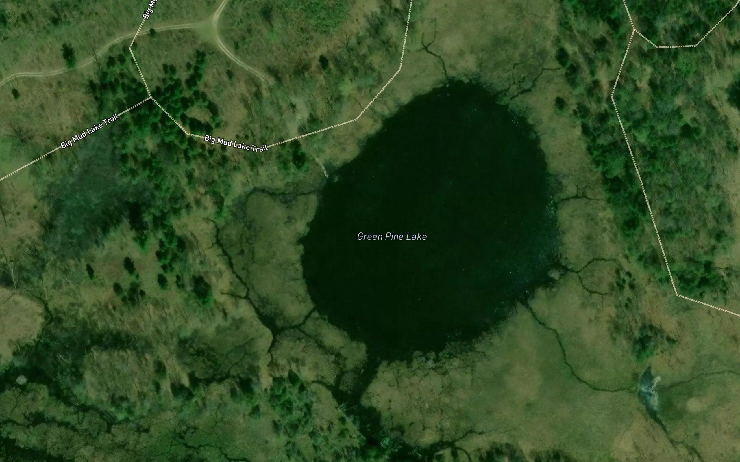 Green Pine Lake