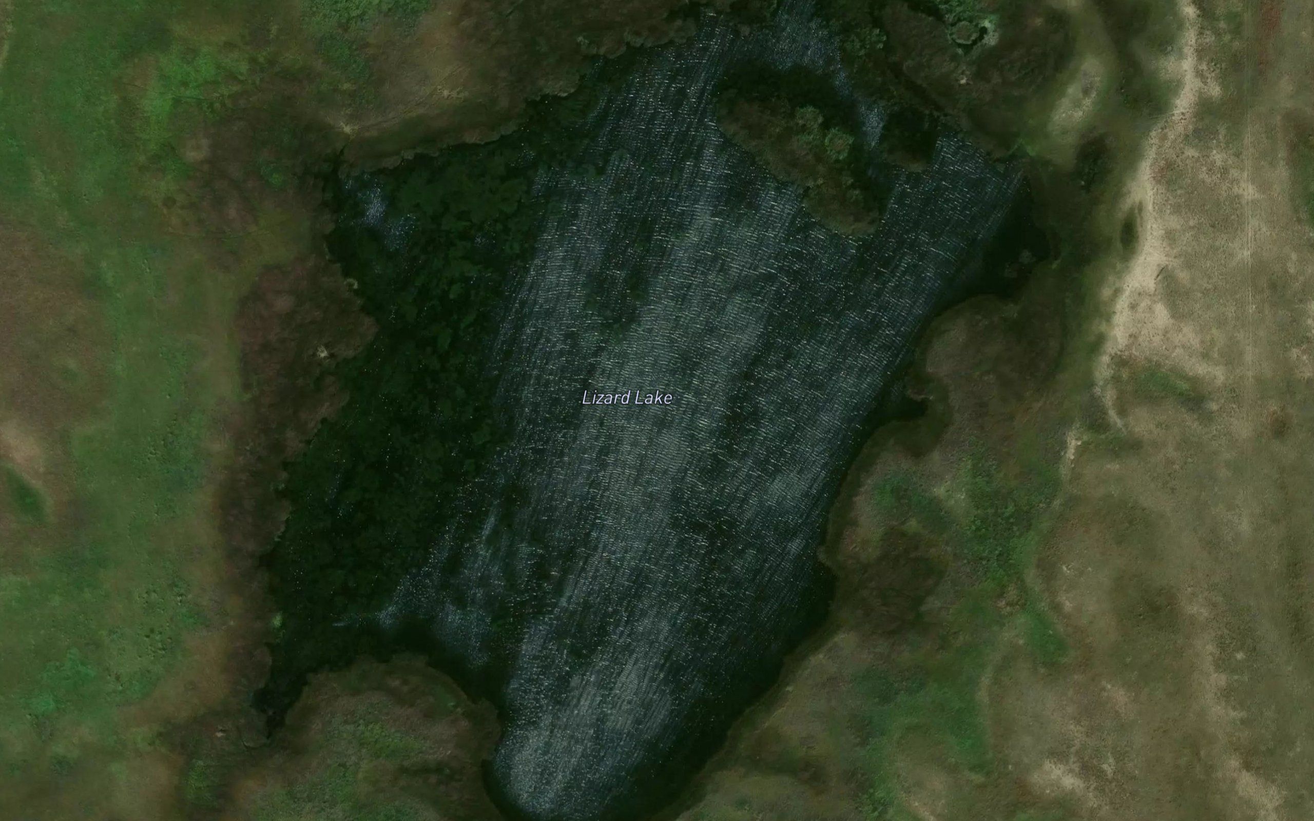 Lizard Lake