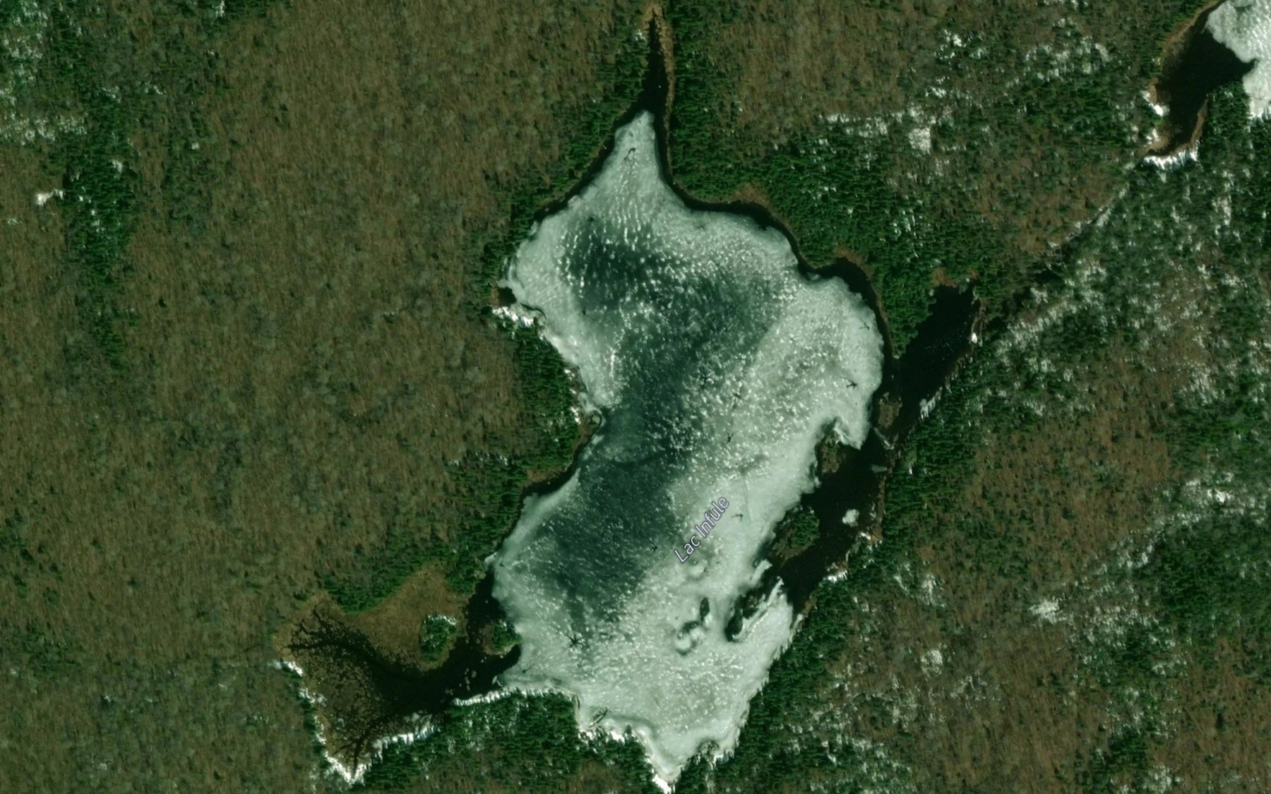 Satellite map of the Lac Infule
