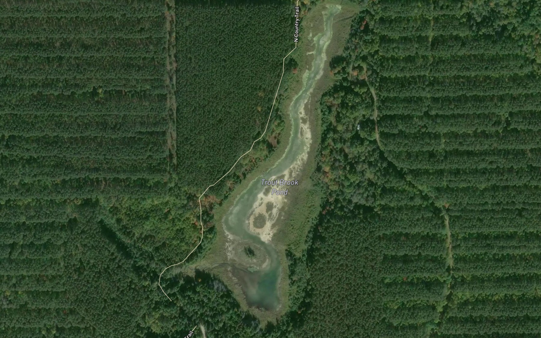 Satellite map of the Trout Brook Pond