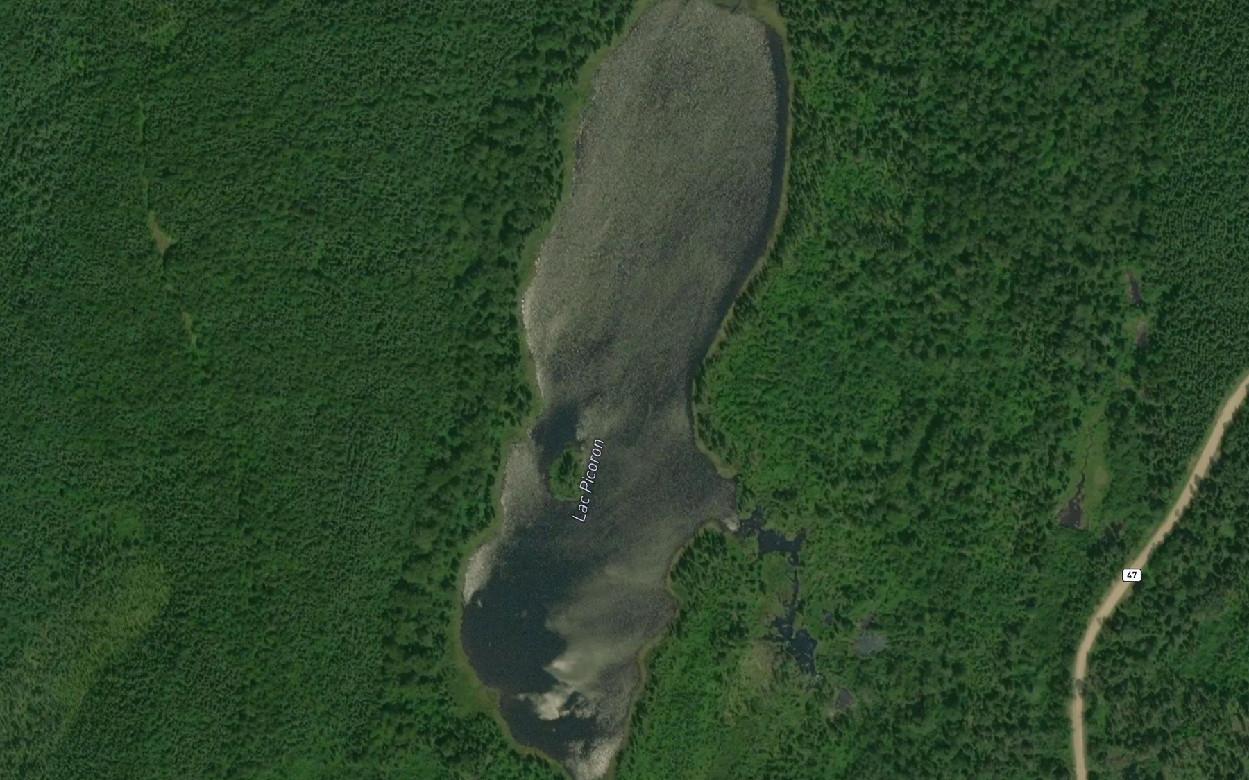 Satellite map of the Lac Picoron