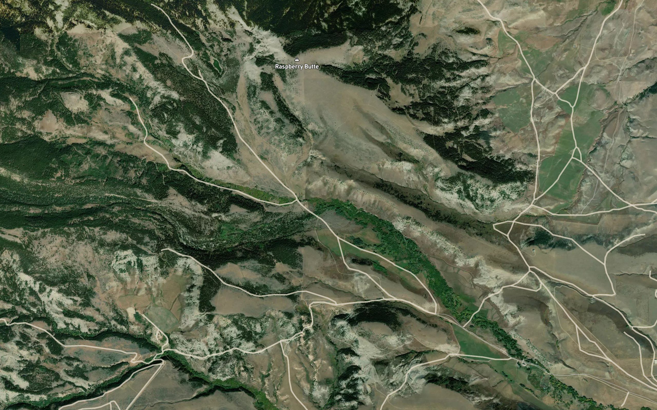 South Fork Swamp Creek