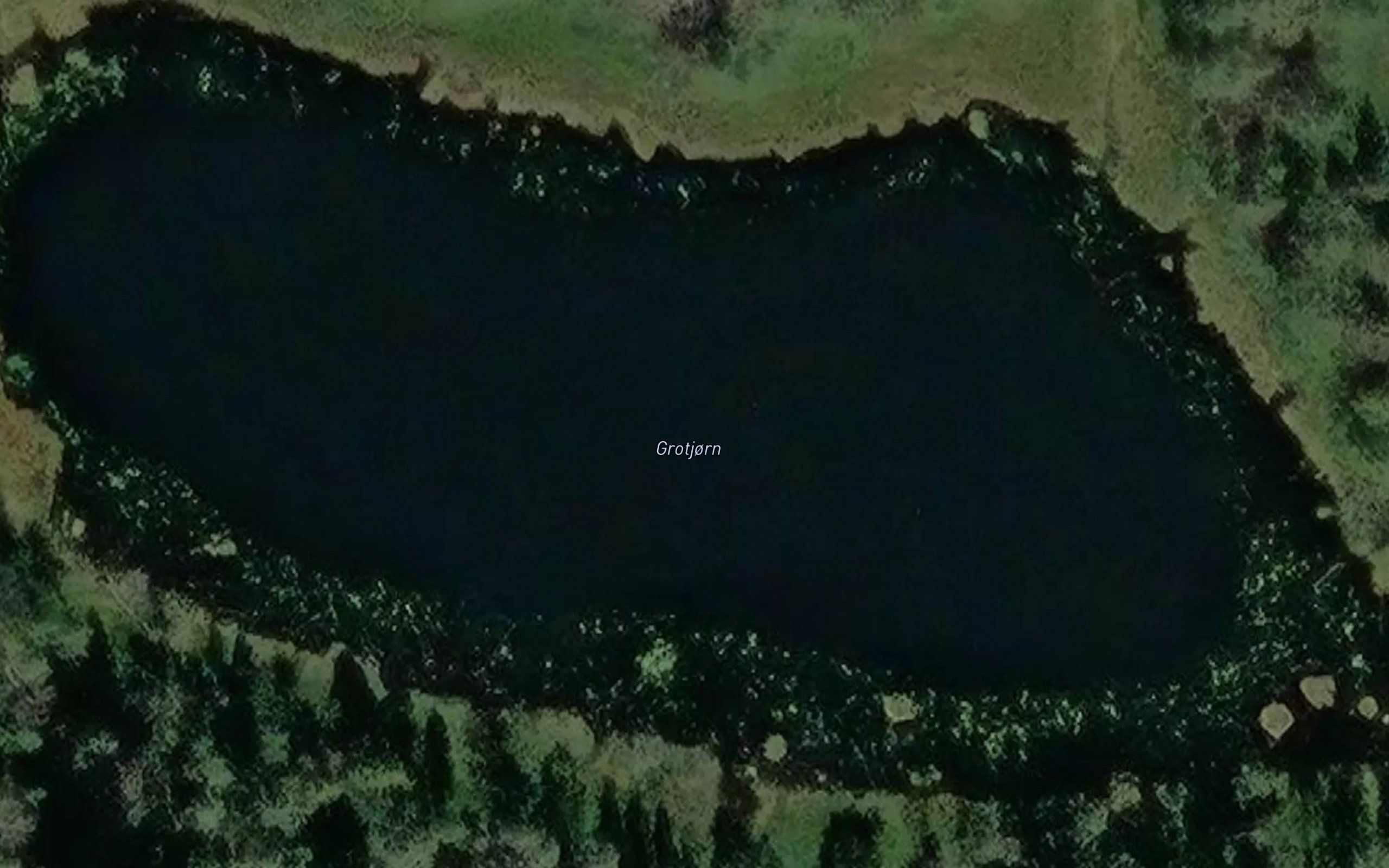 Grotjonn