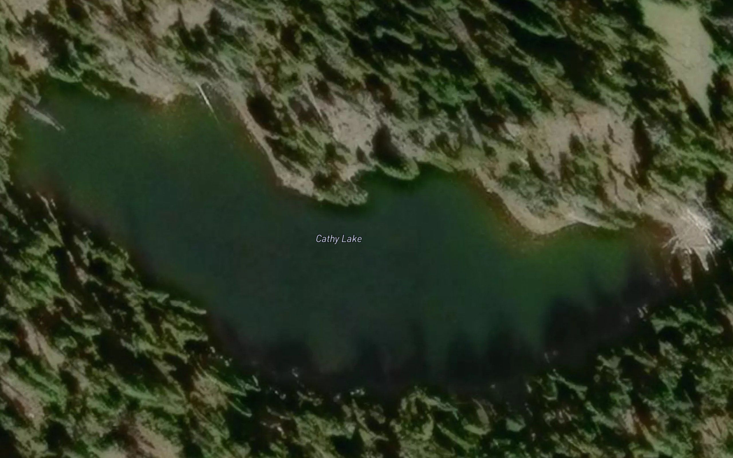 Cathy Lake