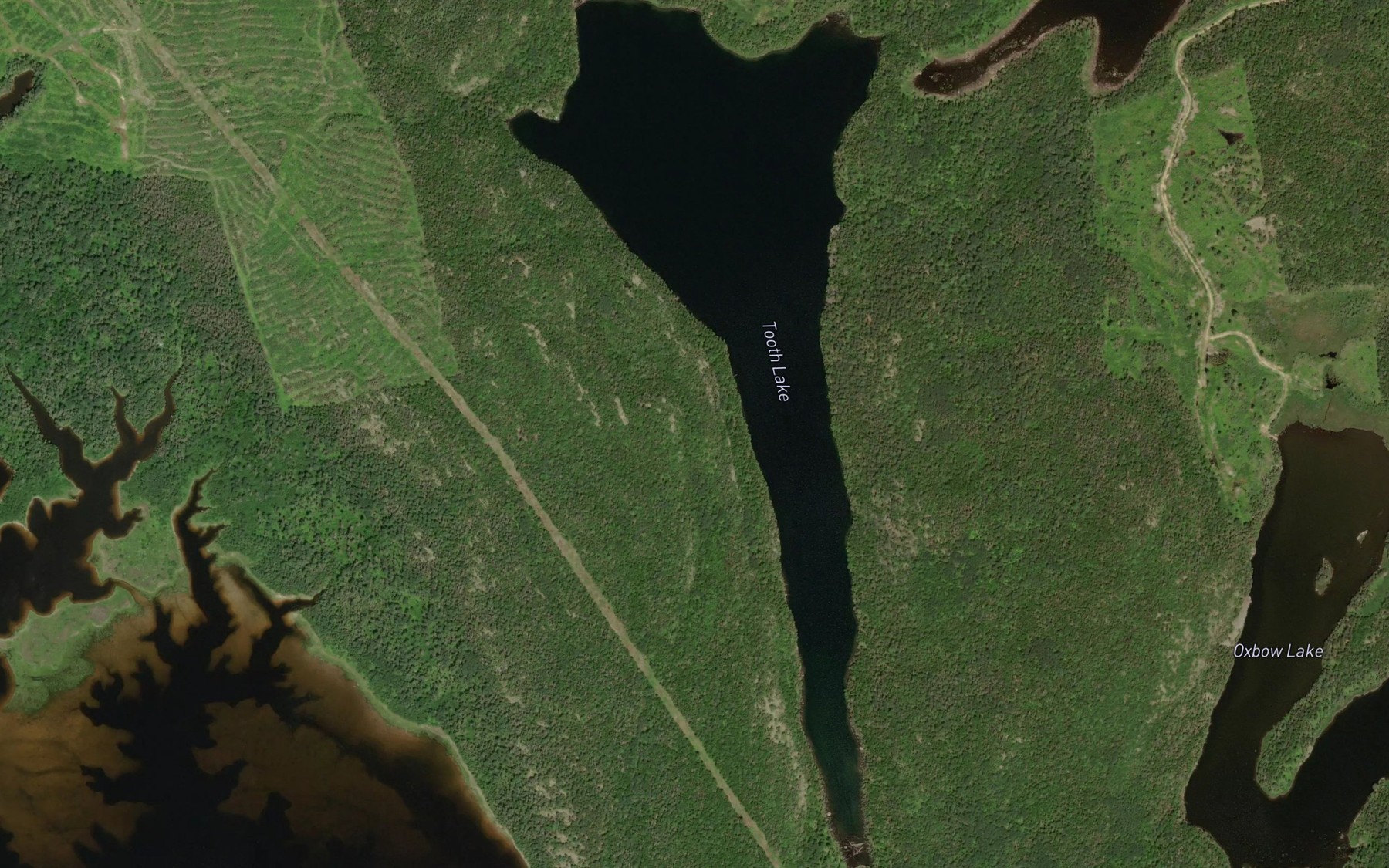Satellite map of the Tooth Lake