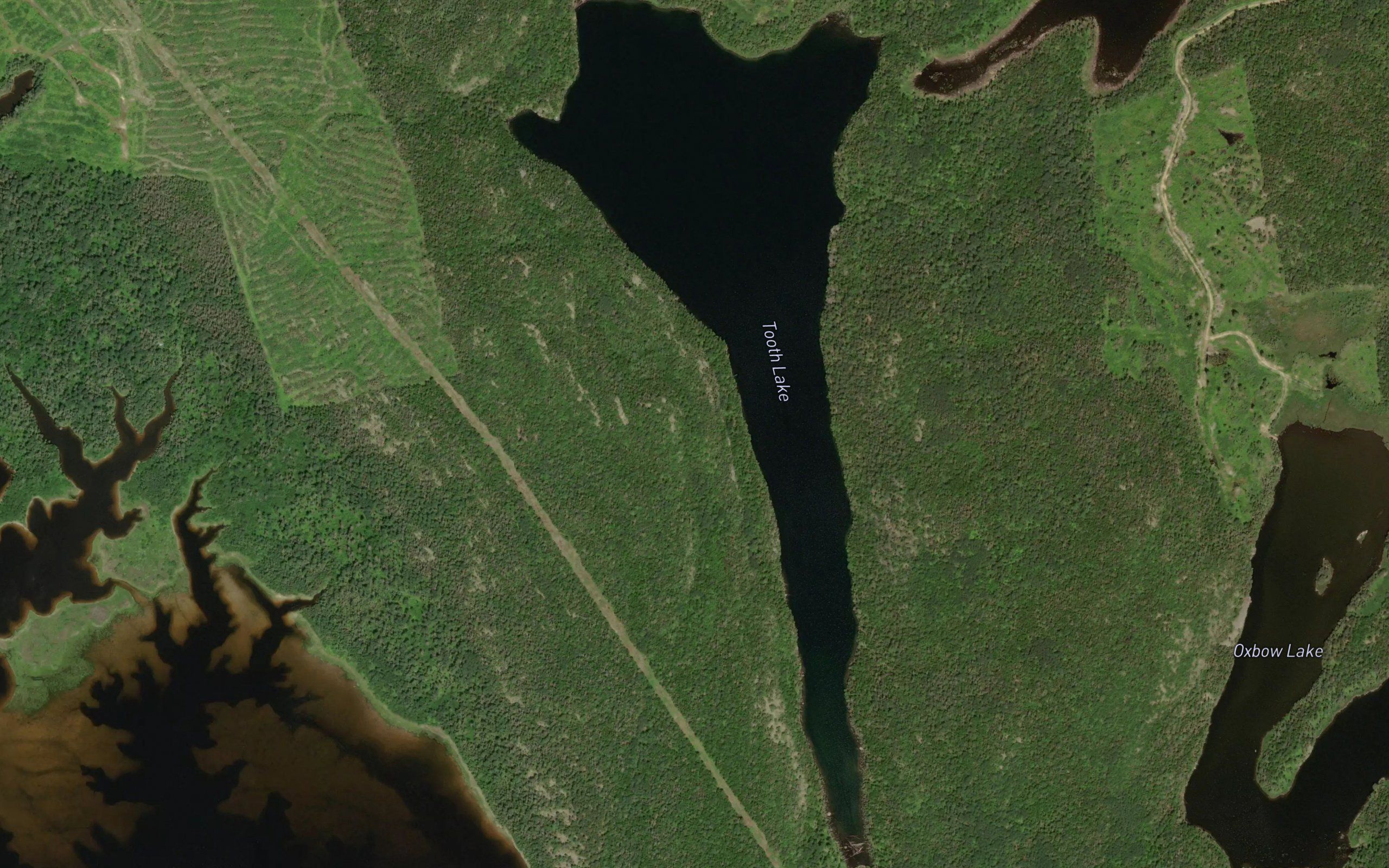 Tooth Lake