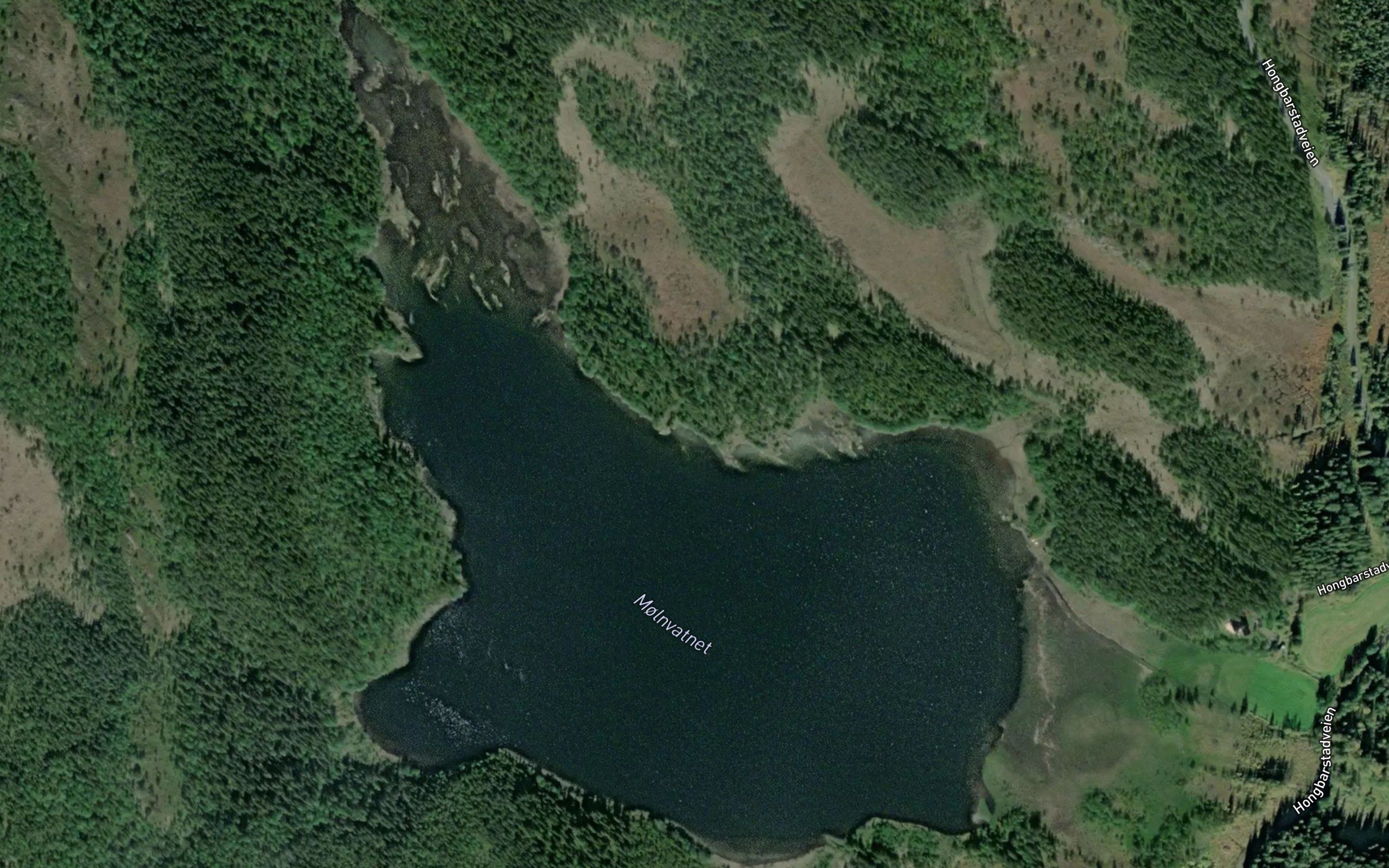 Mollevatnet