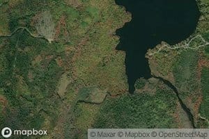 Patterson Meadow Brook