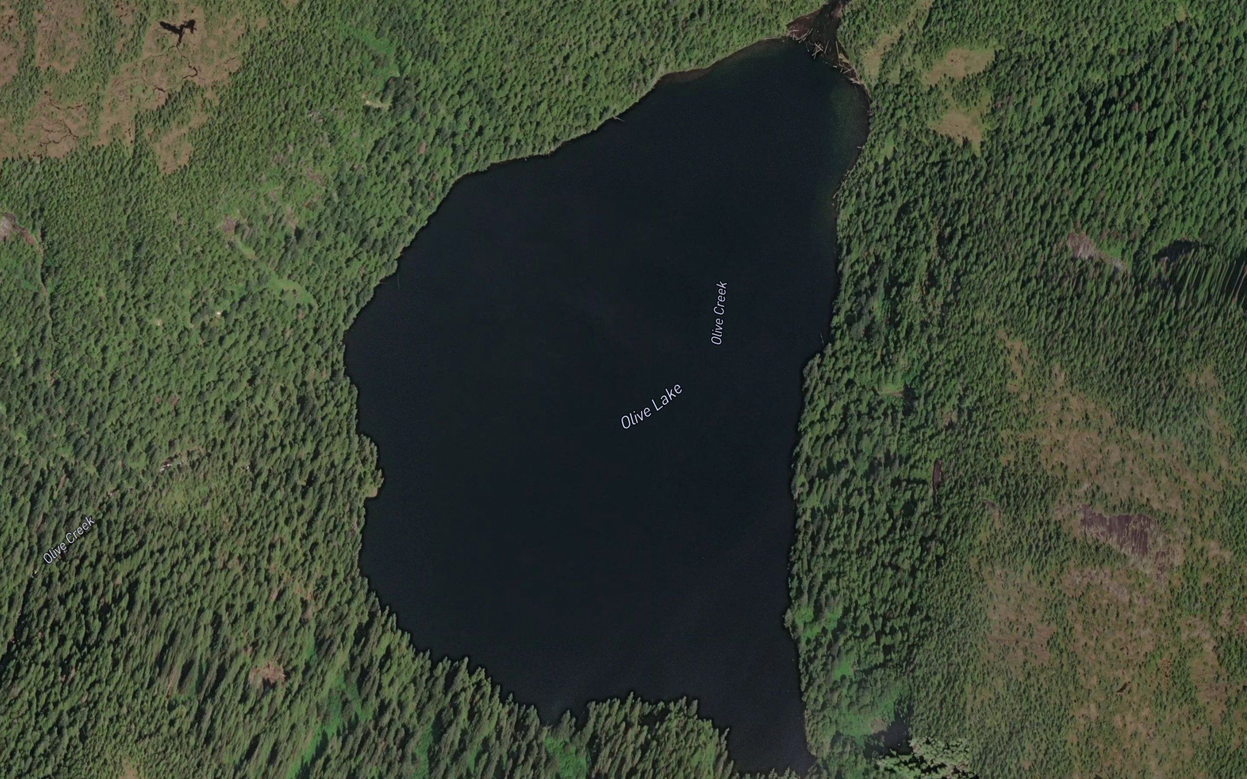 Olive Lake