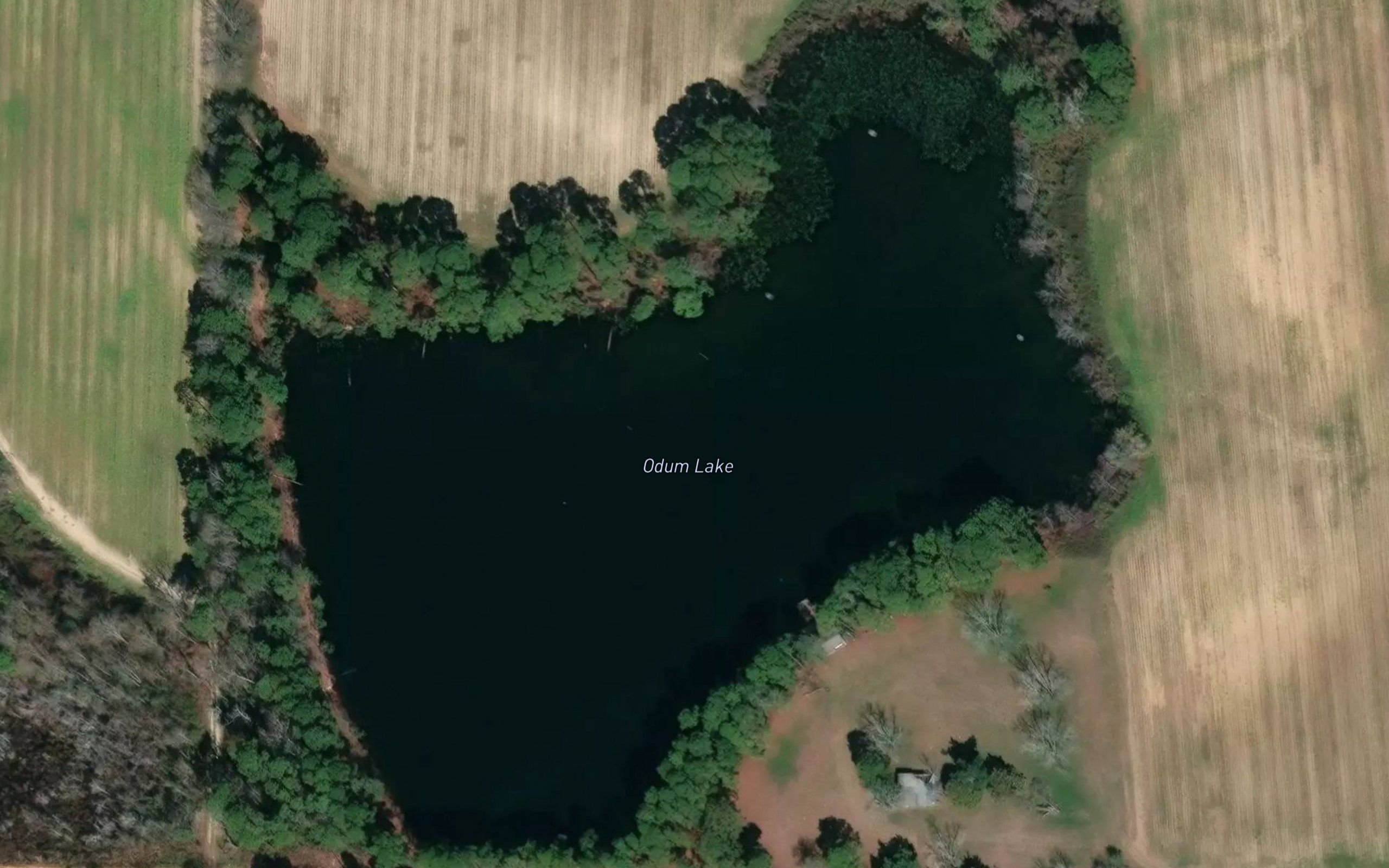Odum Lake