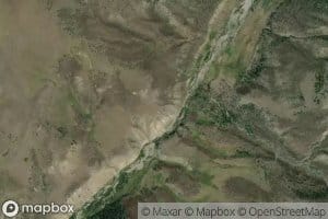 Bug Creek