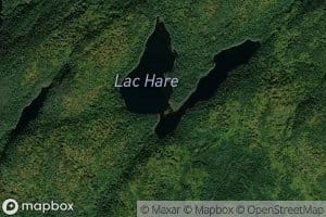 Lac Hare