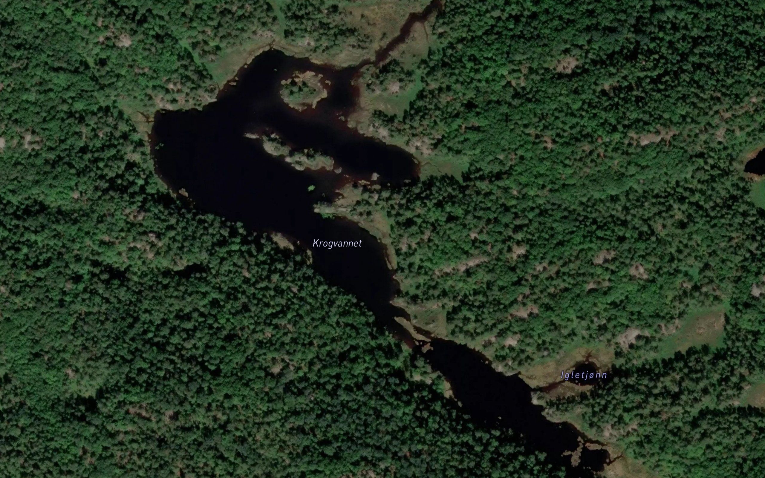 Krogvannet