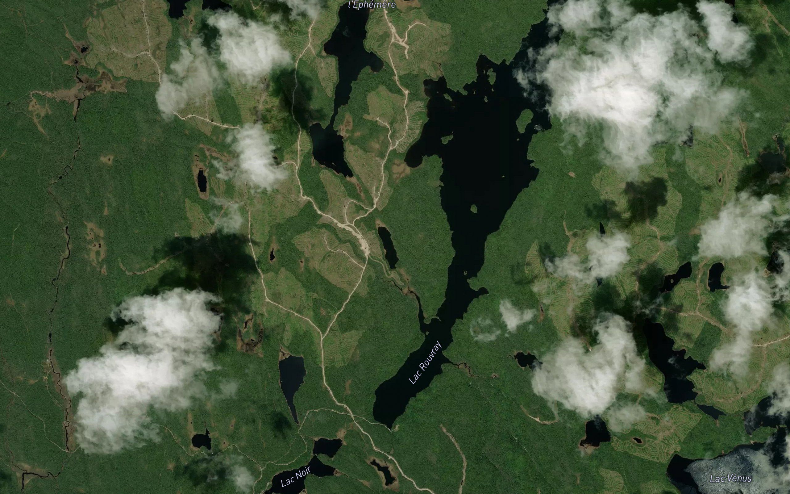 Lac Rangifer
