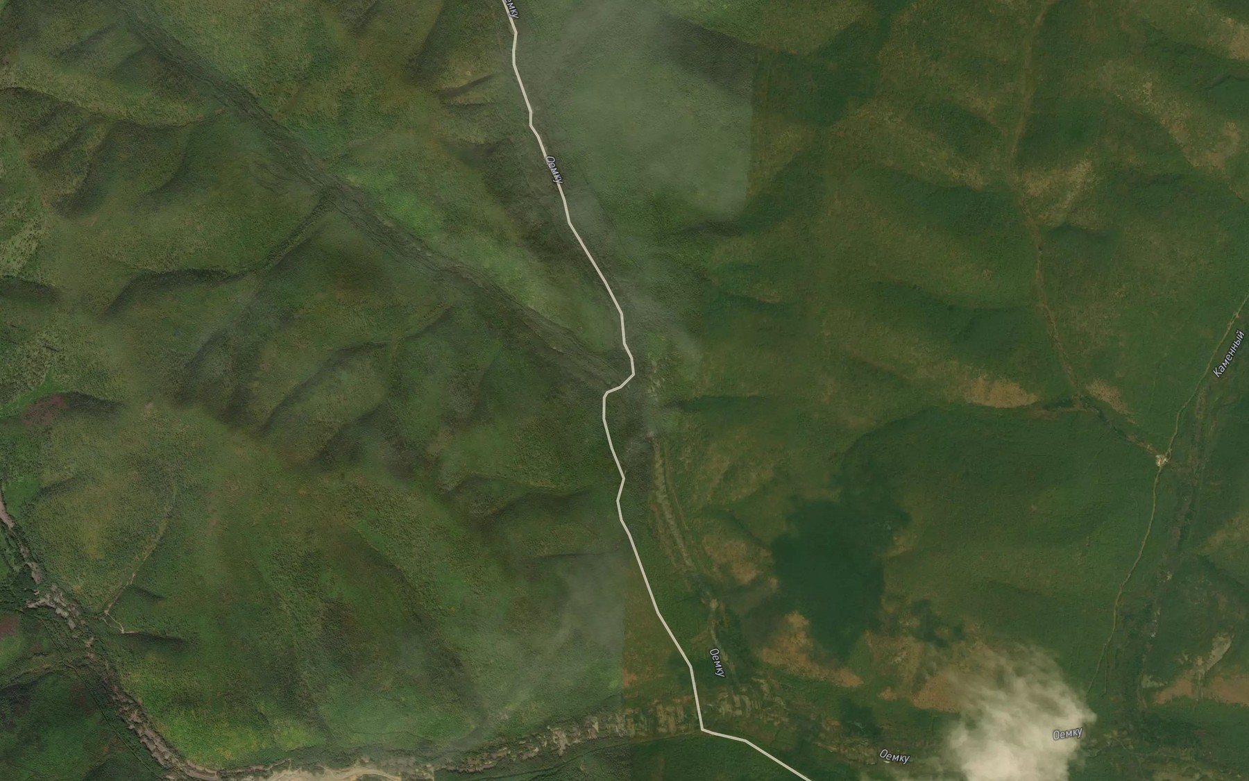 Satellite map of the Tungusskiy