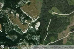 Bardsettjernet