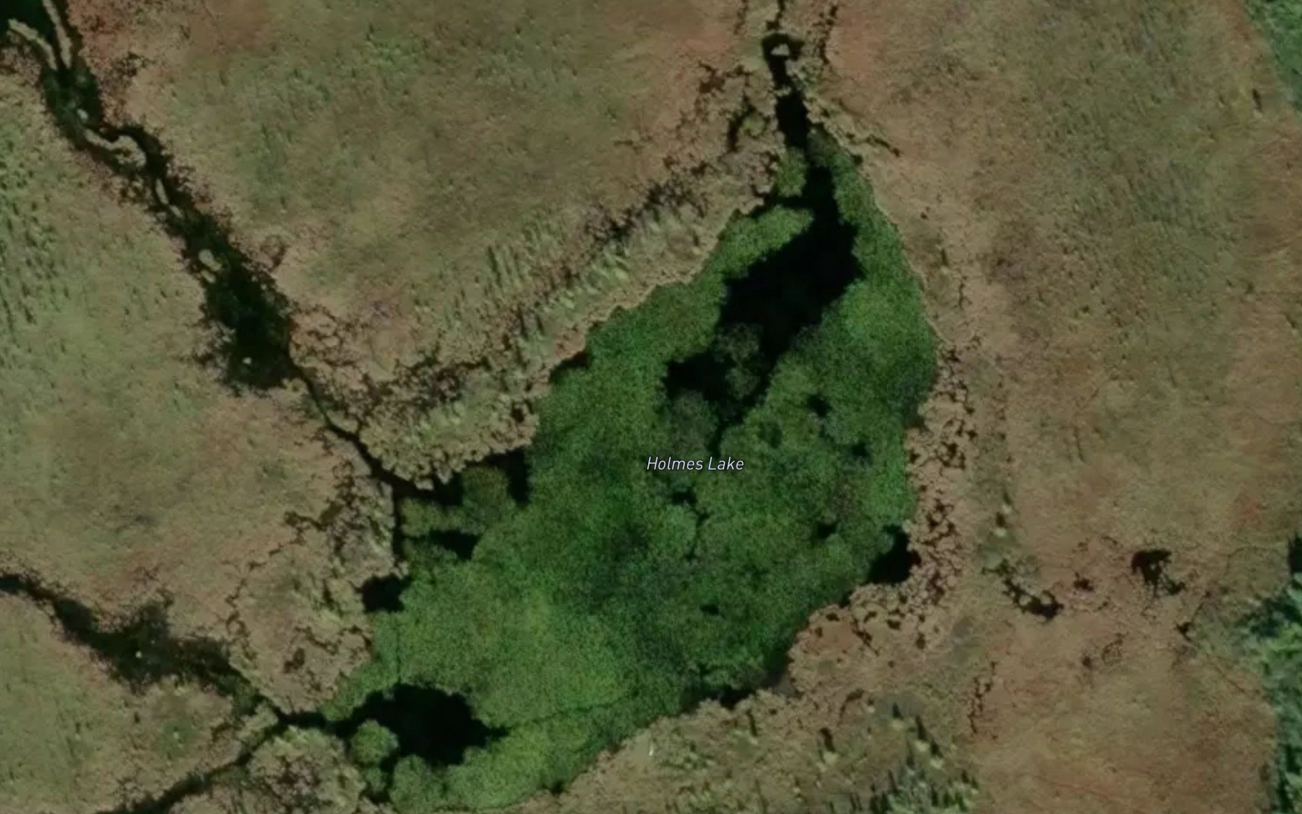 Holmes Lake