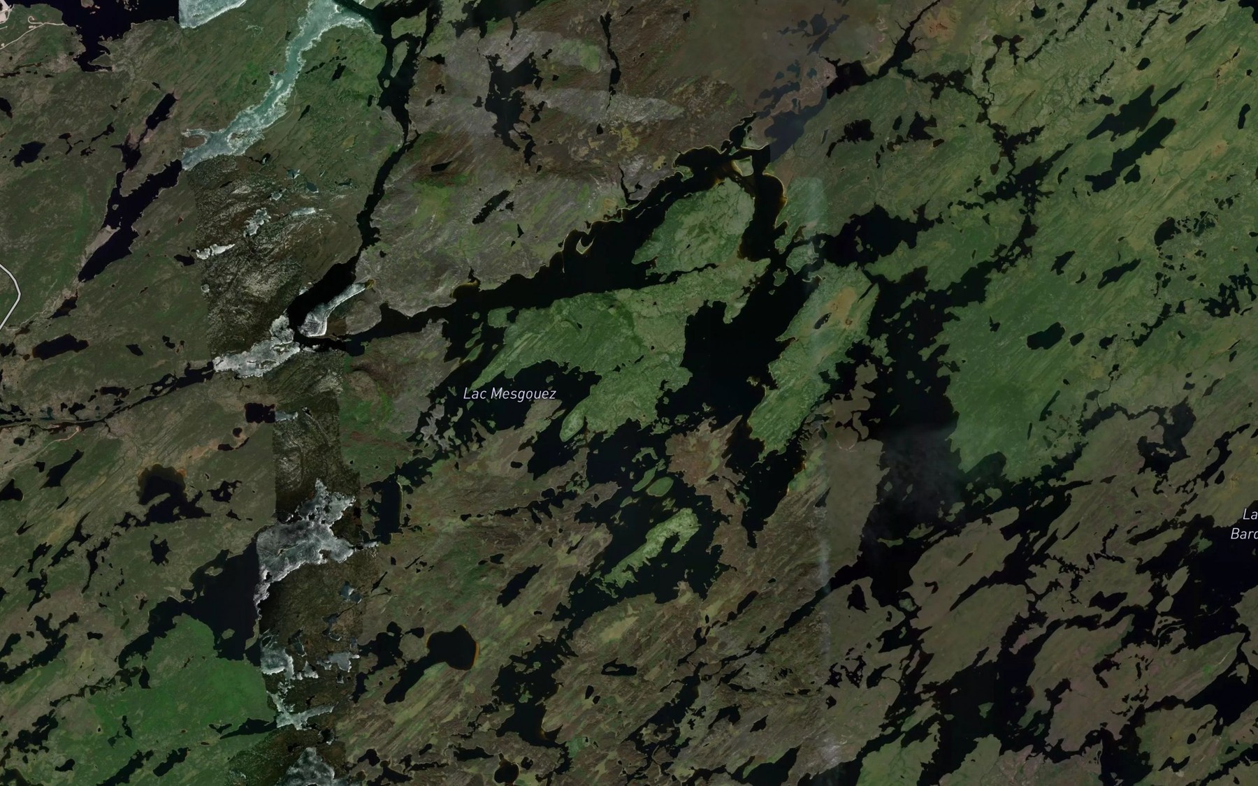 Satellite map of the Lac Mesgouez