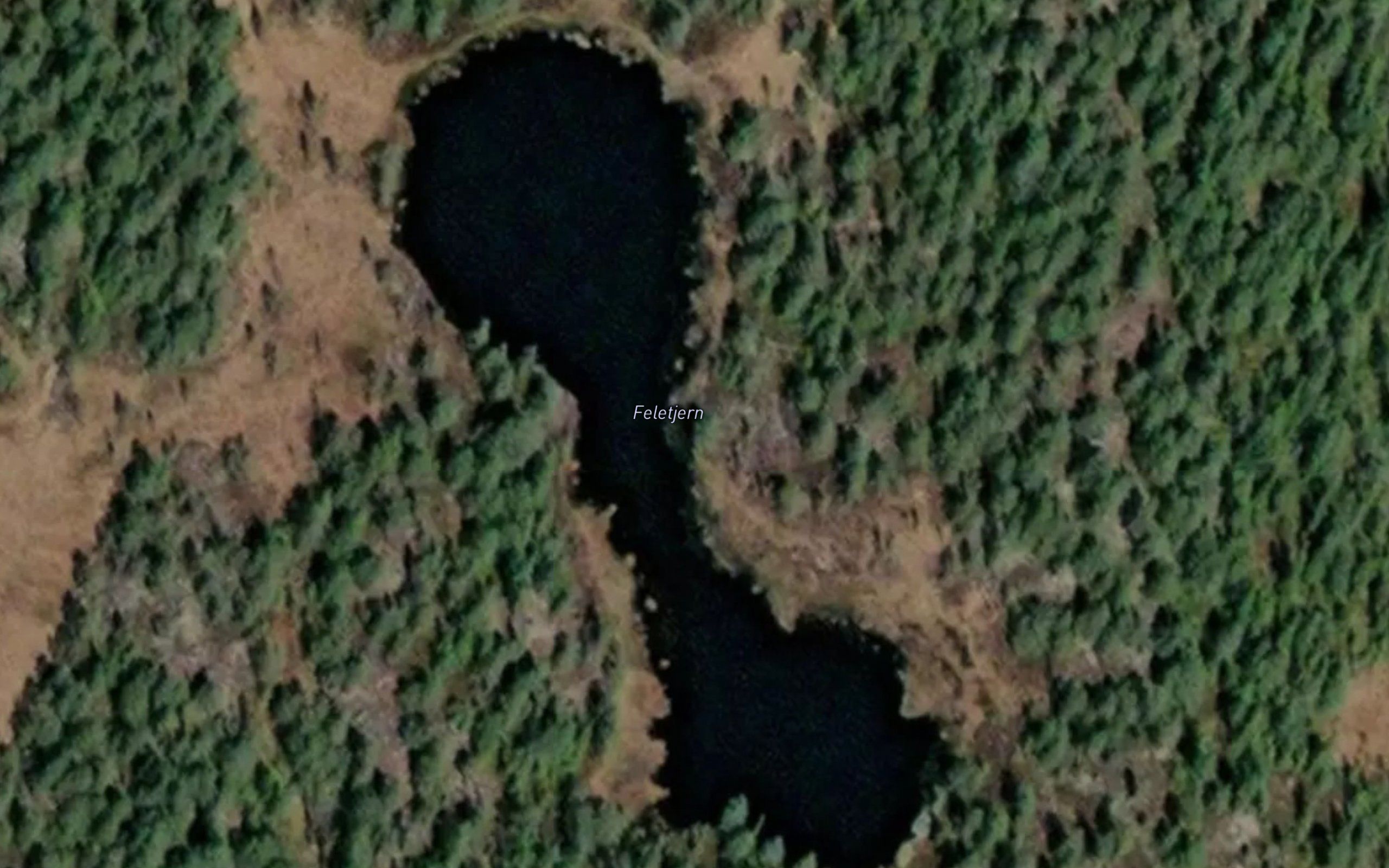 Feletjern