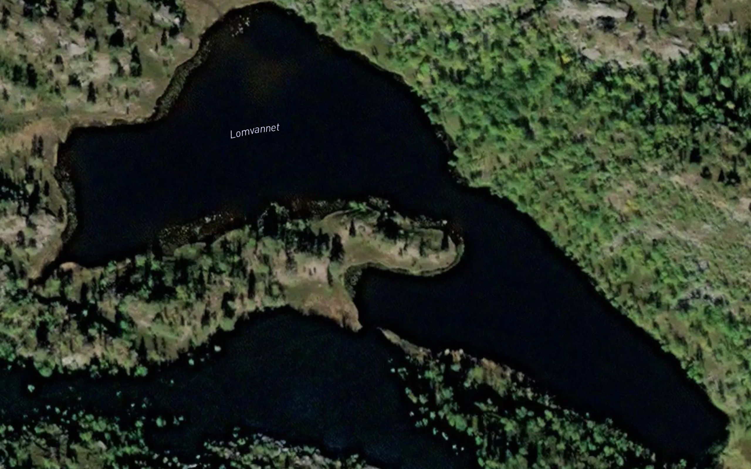 Lomvannet