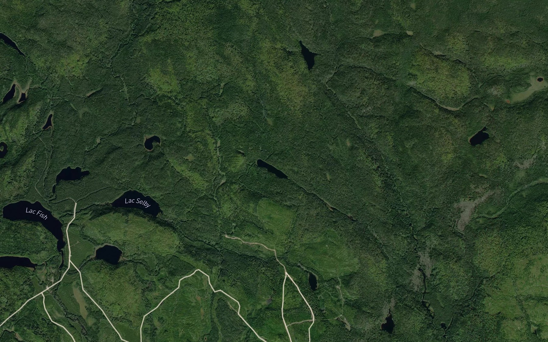 Satellite map of the Lac Cantin