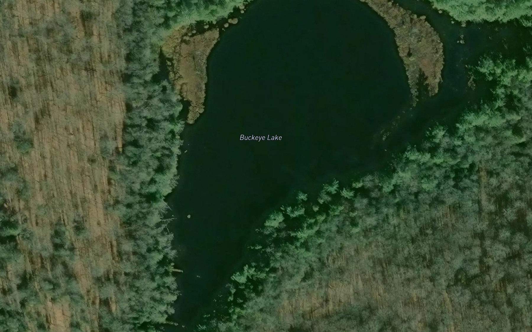 Satellite map of the Buckeye Lake