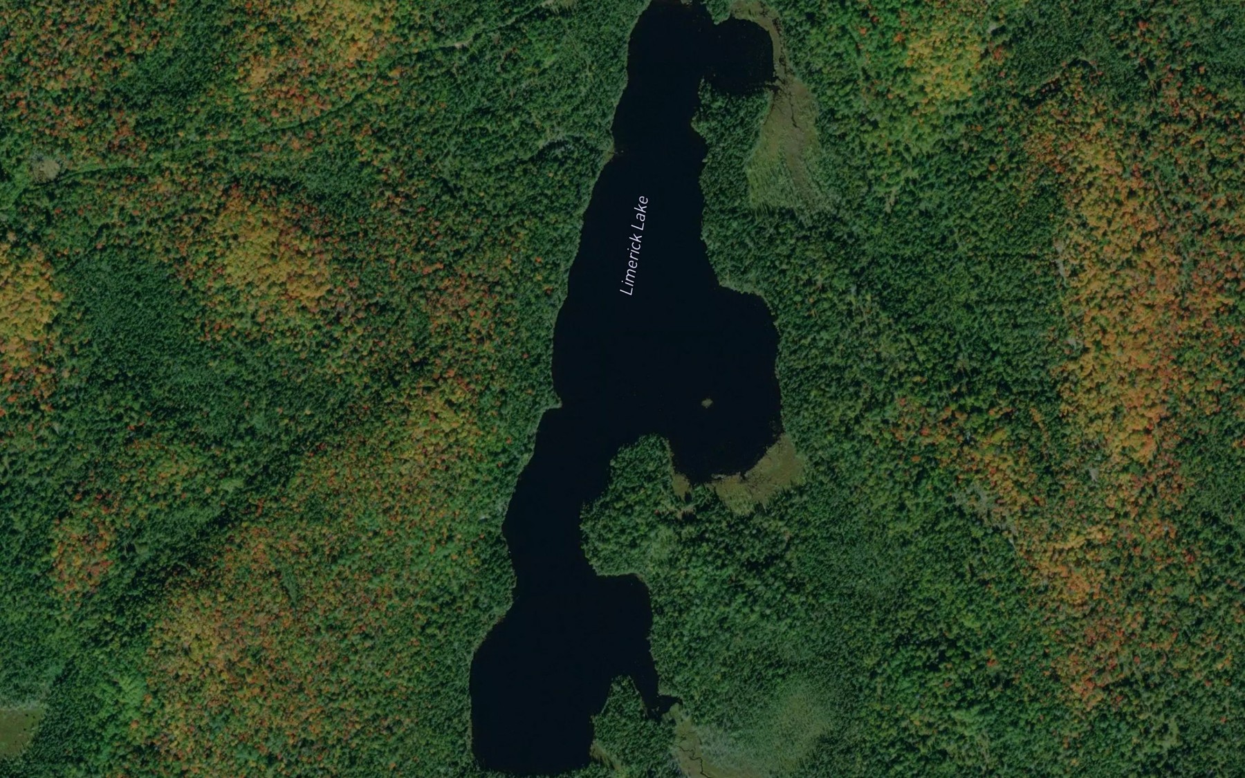 Satellite map of the Limerick Lake