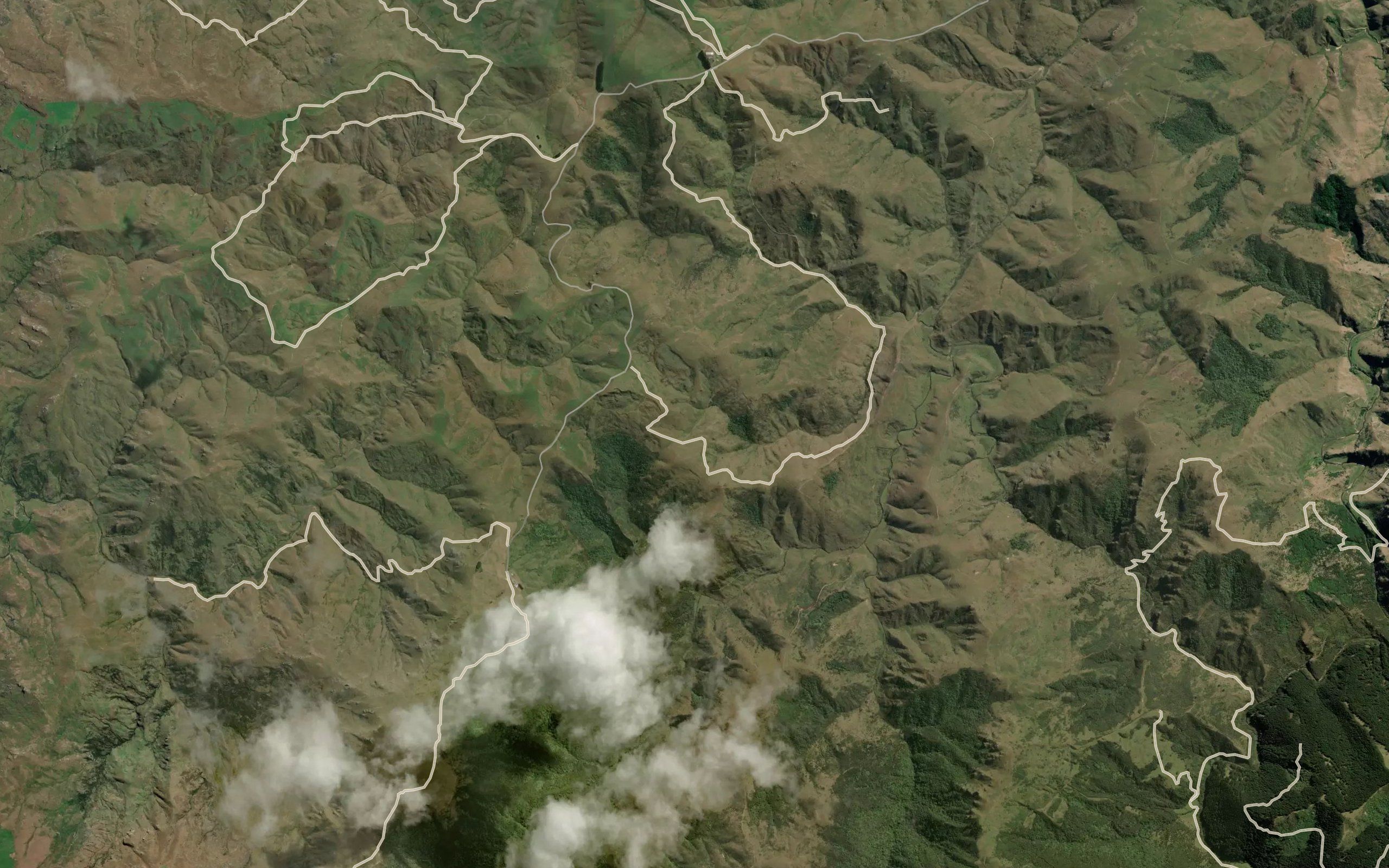 Mount Misery Creek