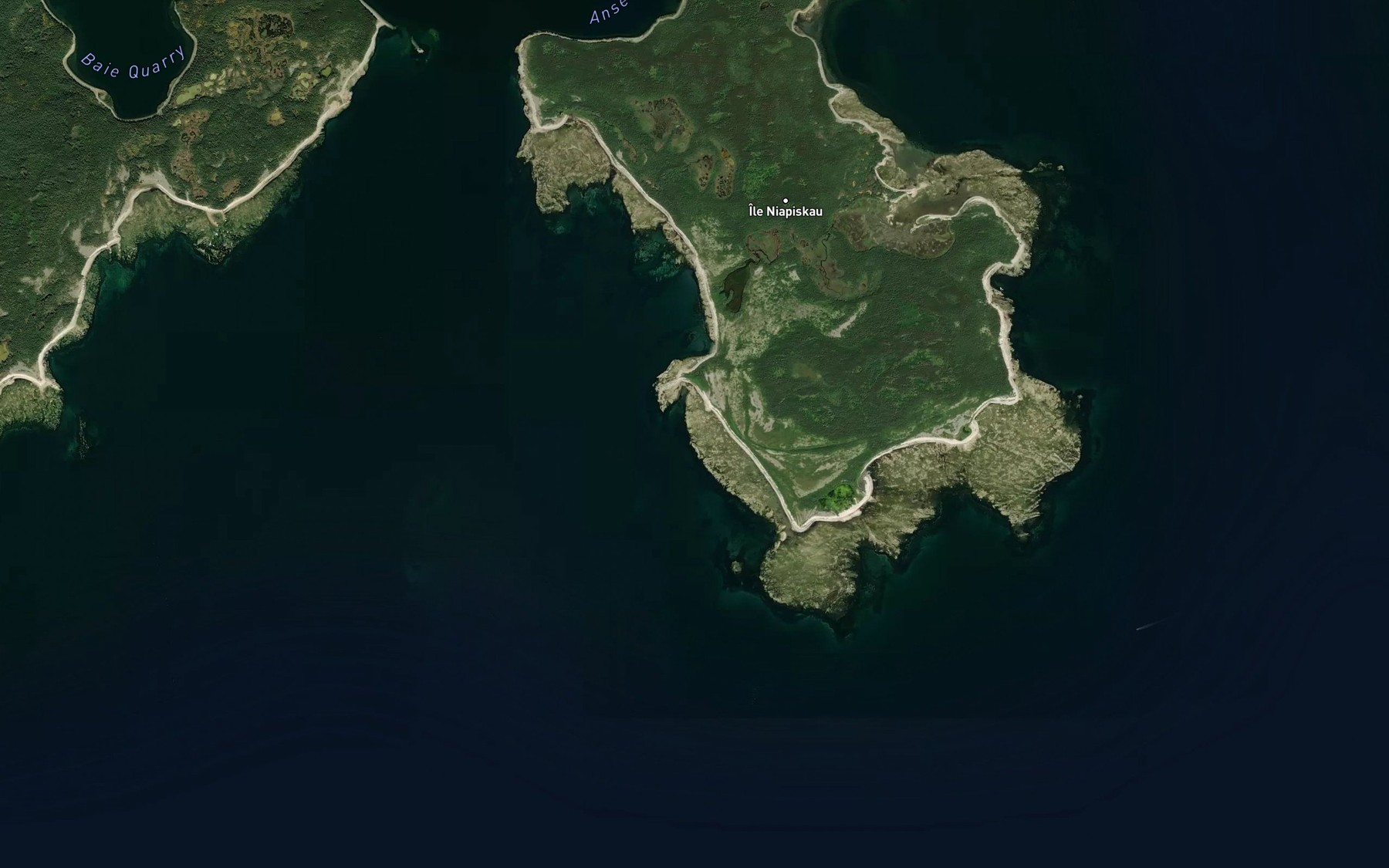 Satellite map of the Anse du Lac a Canards
