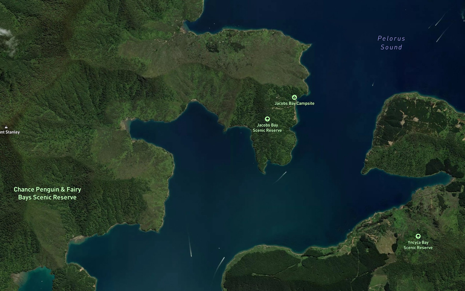 Satellite map of the Shag Cove