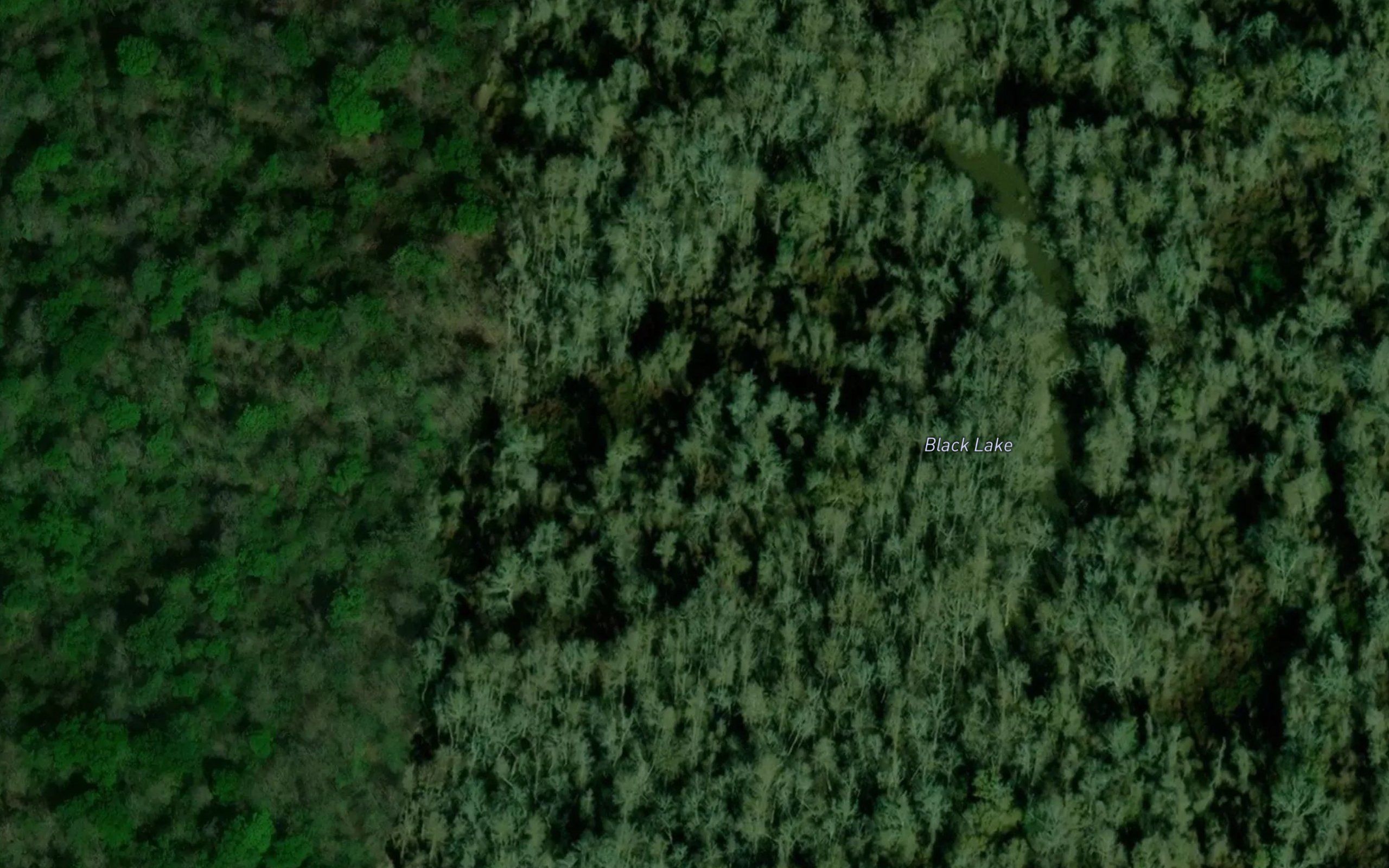 Black Lake