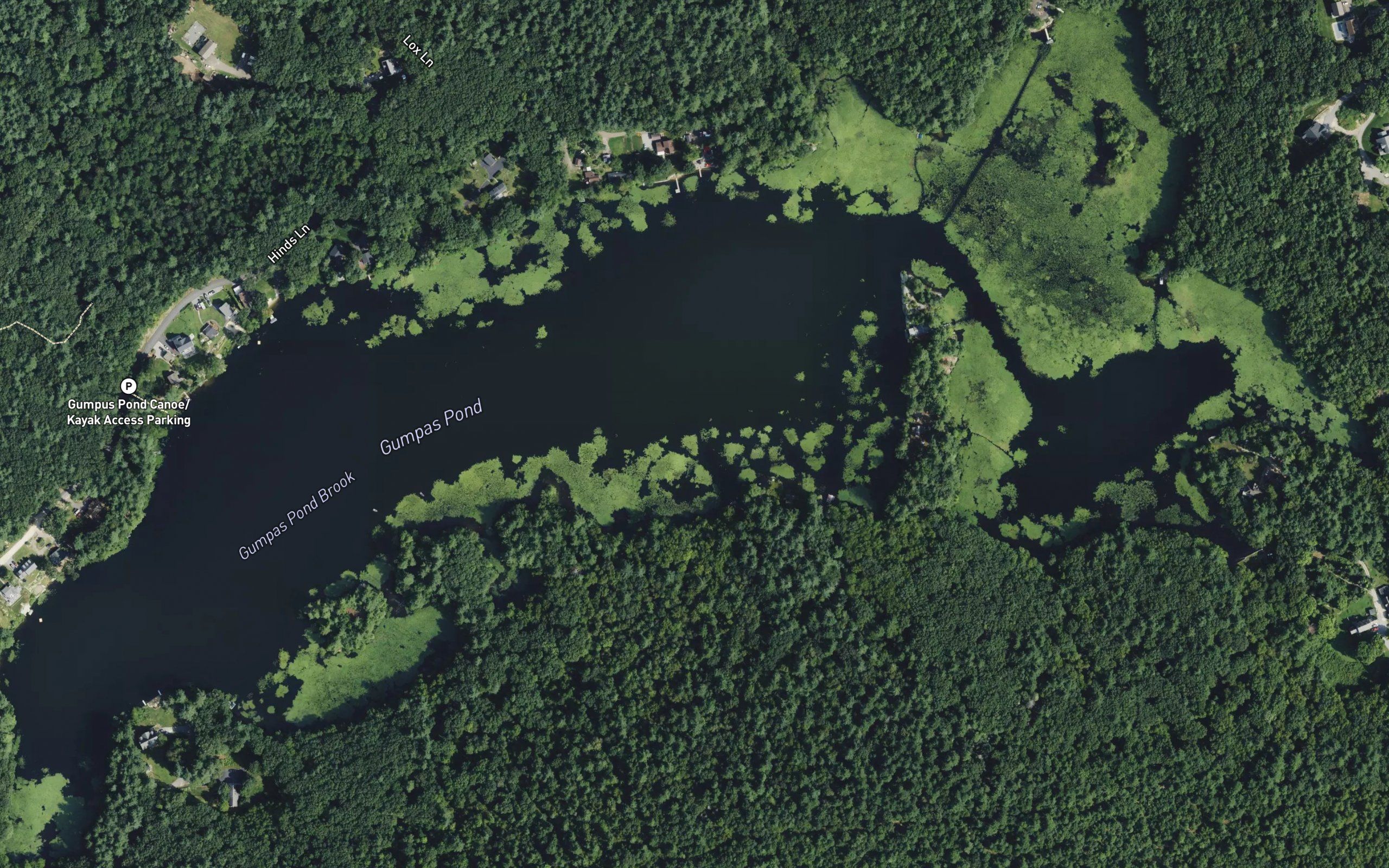 Gumpas Pond