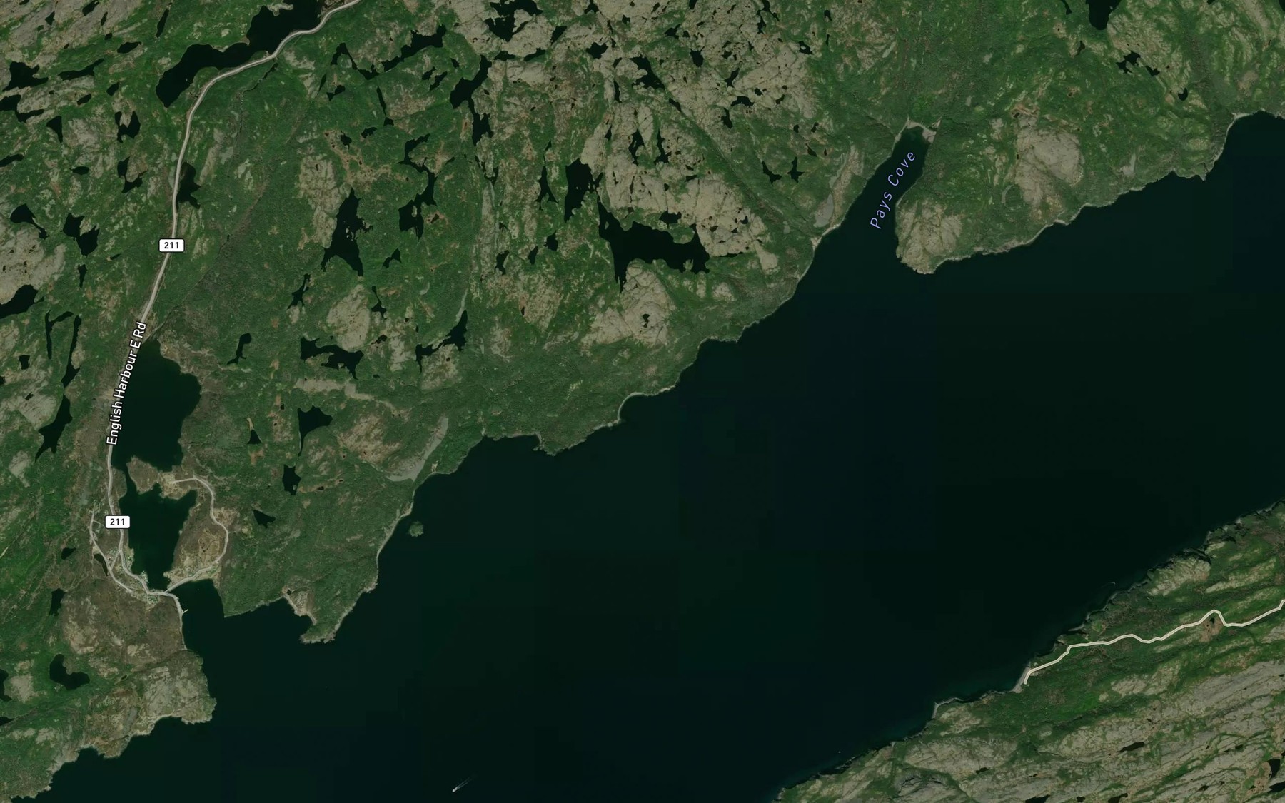Satellite map of the Kinsleys Cove