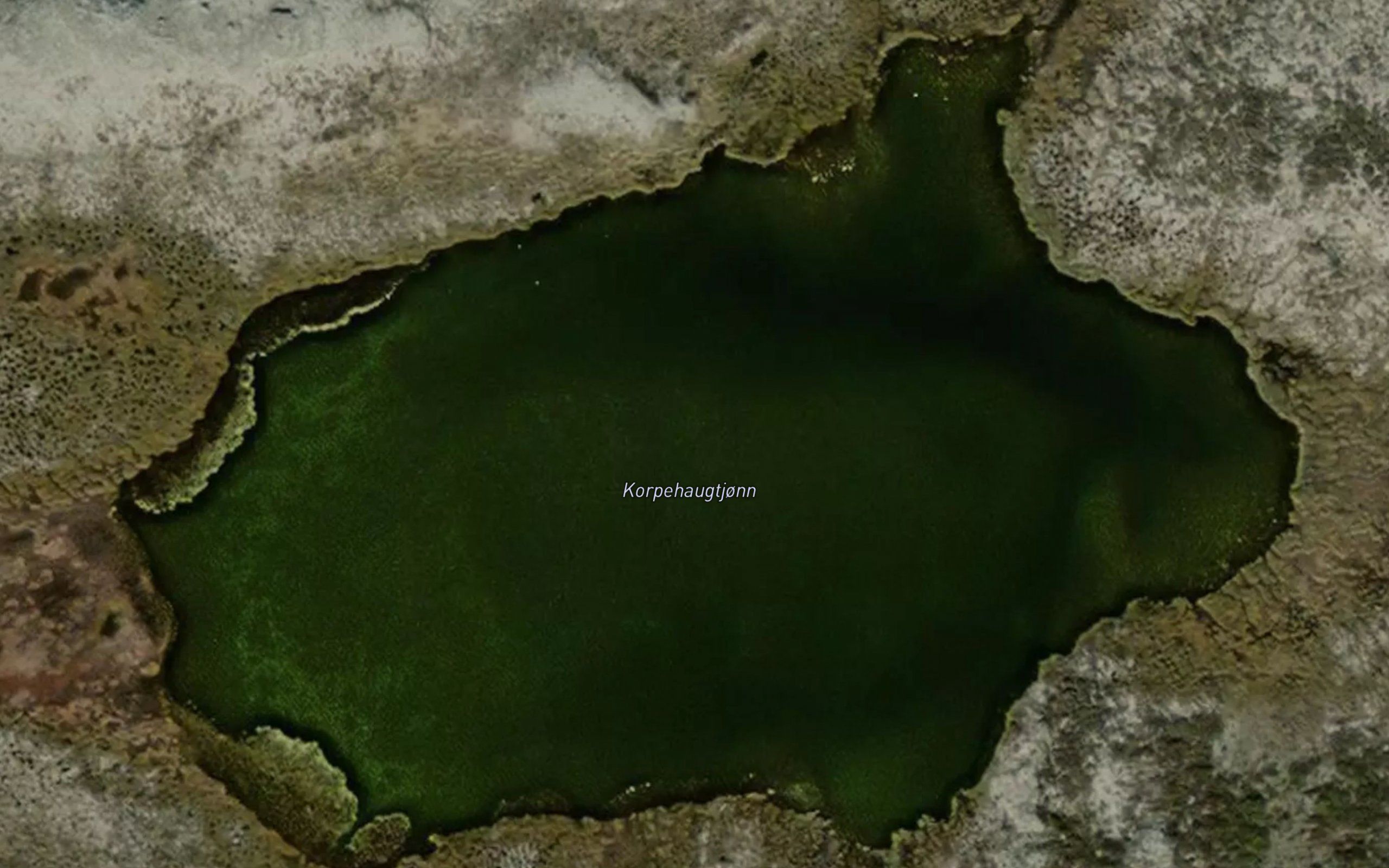 Korphaugtjorni