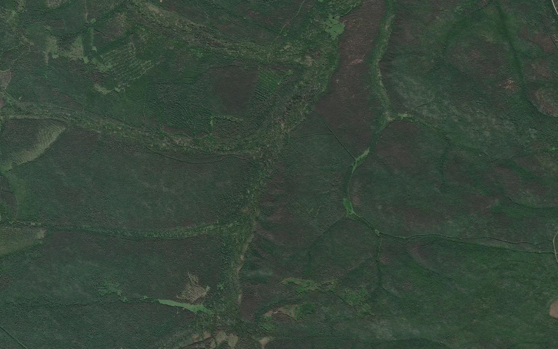 Satellite map of the Odnobokiy