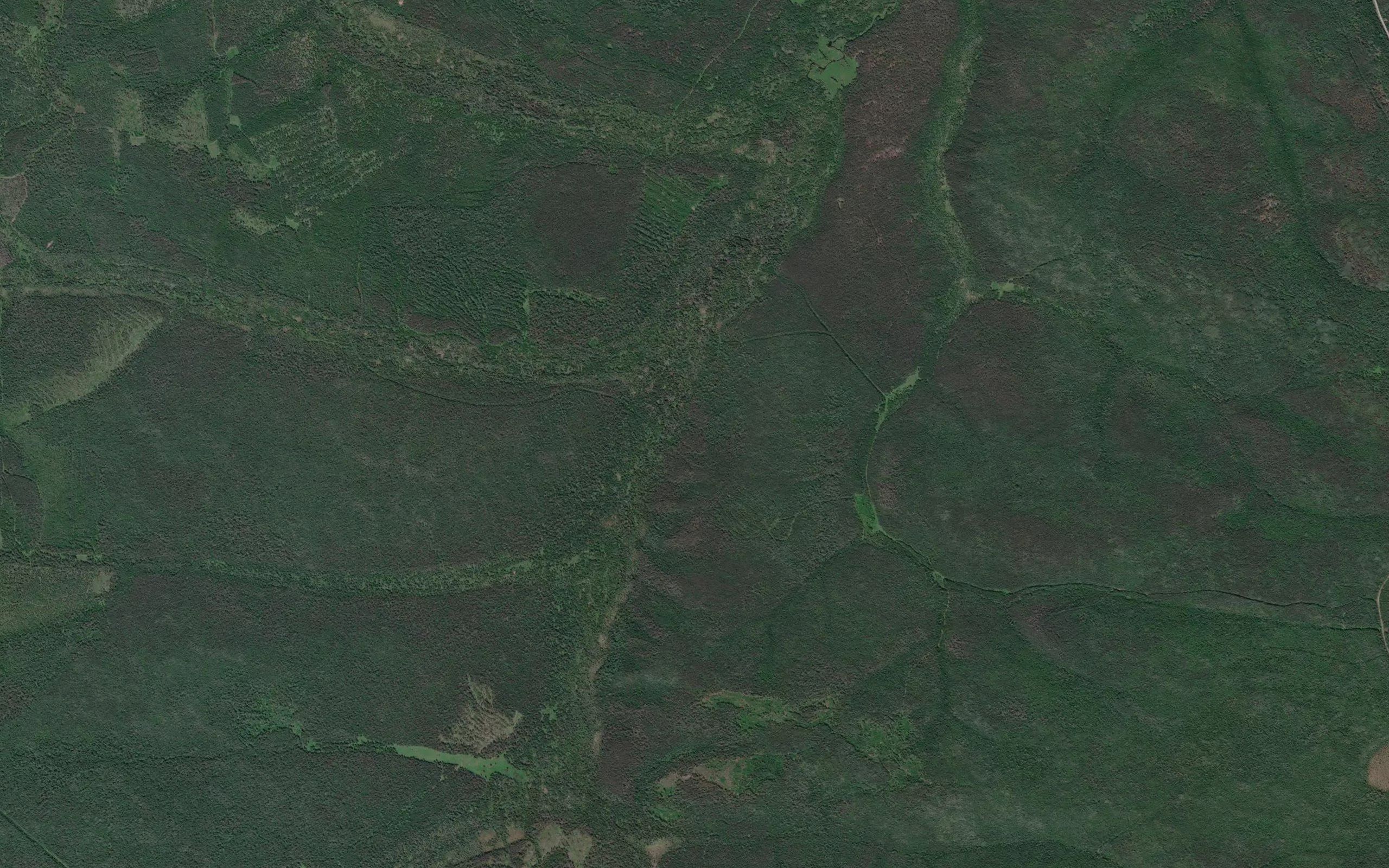 Odnobokiy