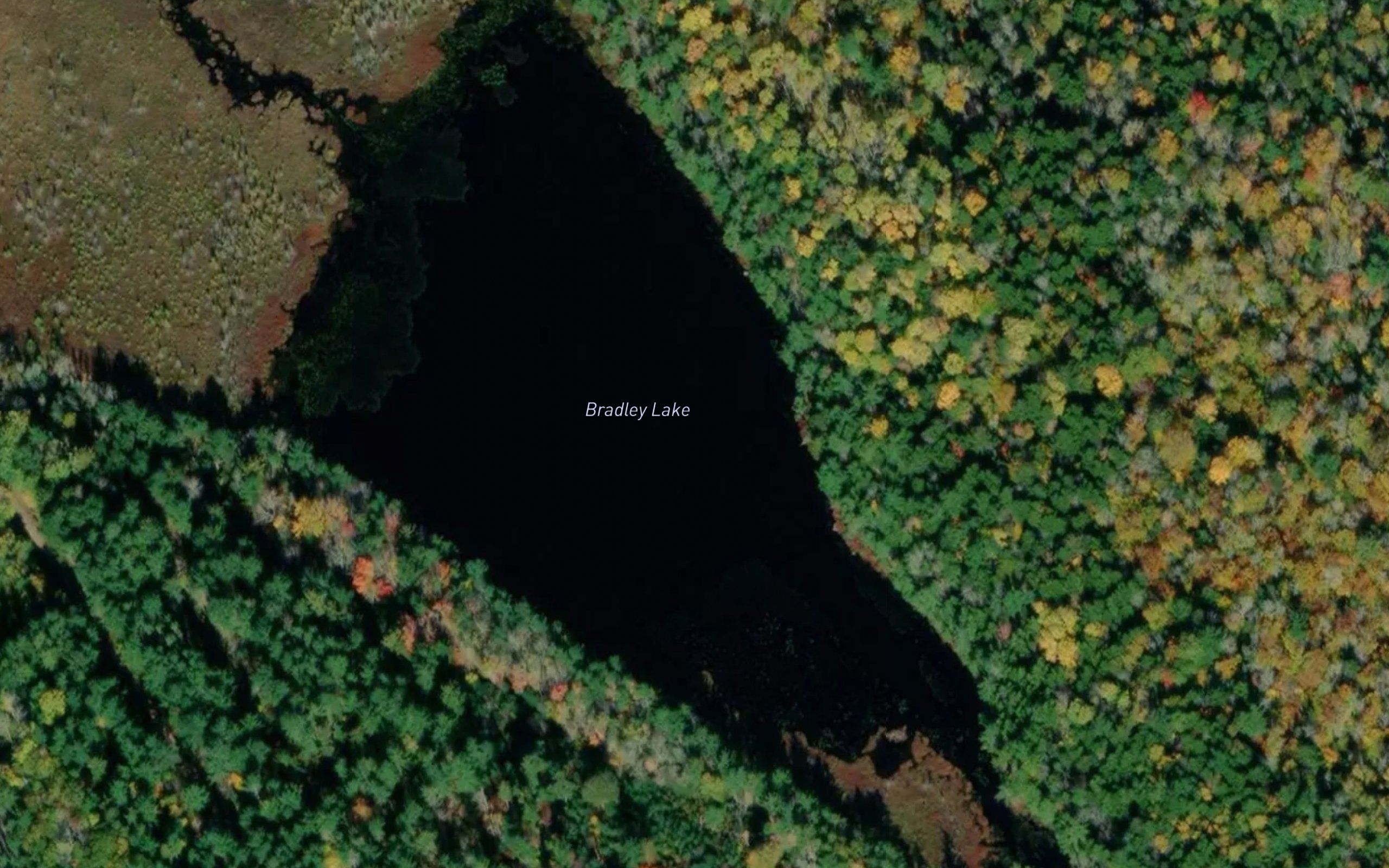 Bradley Lake