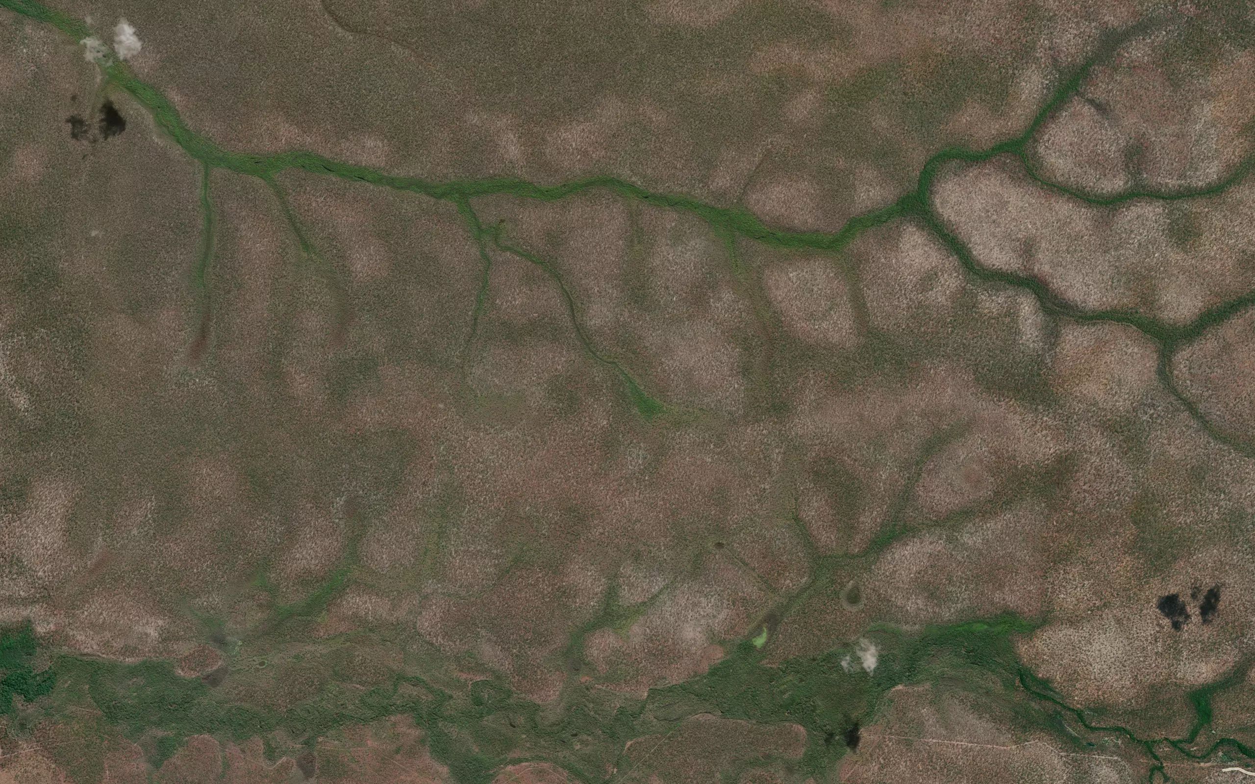 Williams Creek