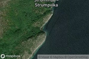Langvika