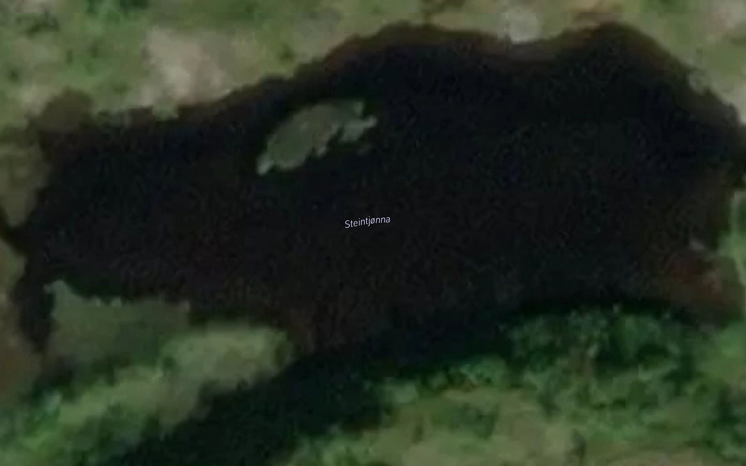 Steintjorna