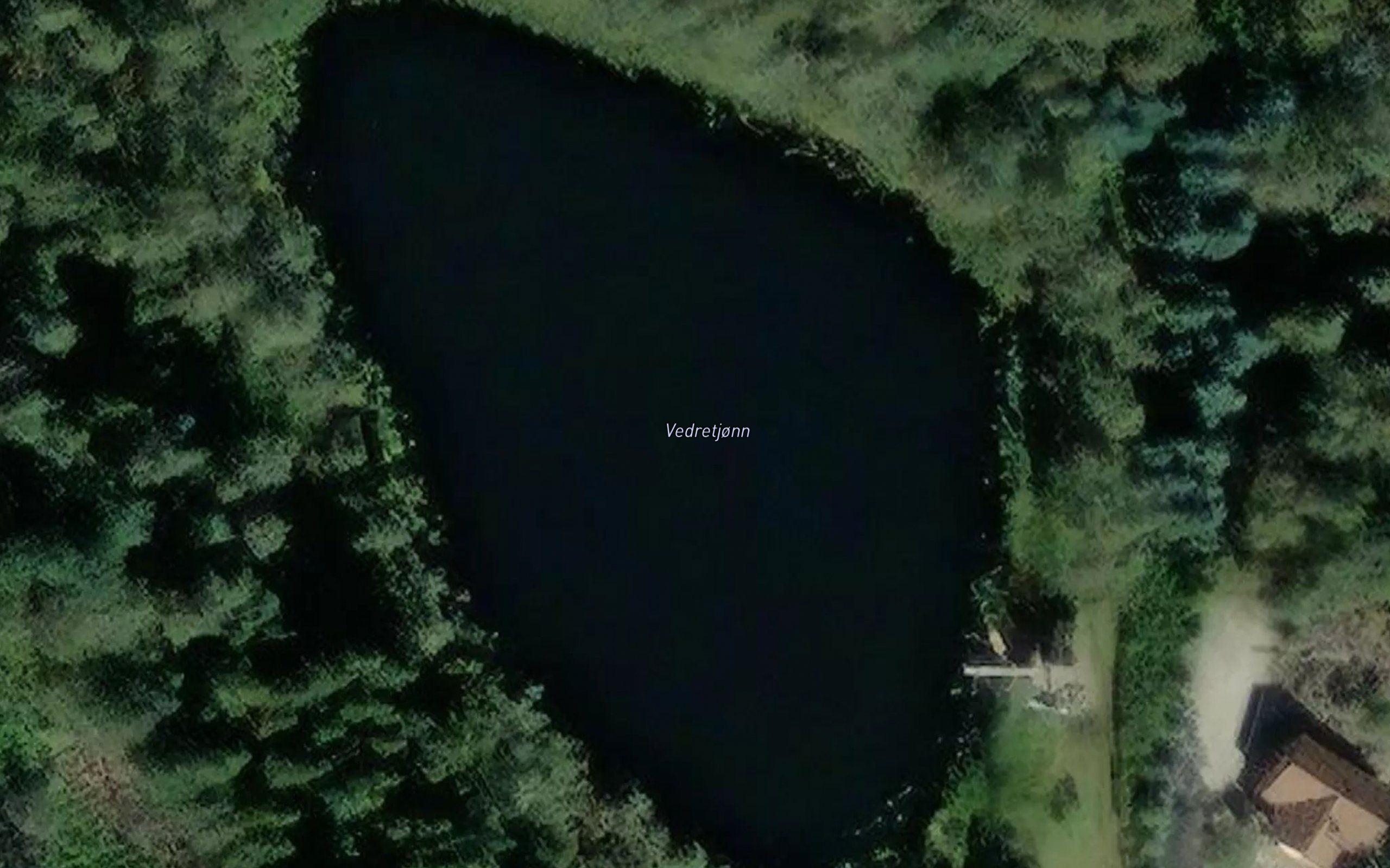 Vedretjonn
